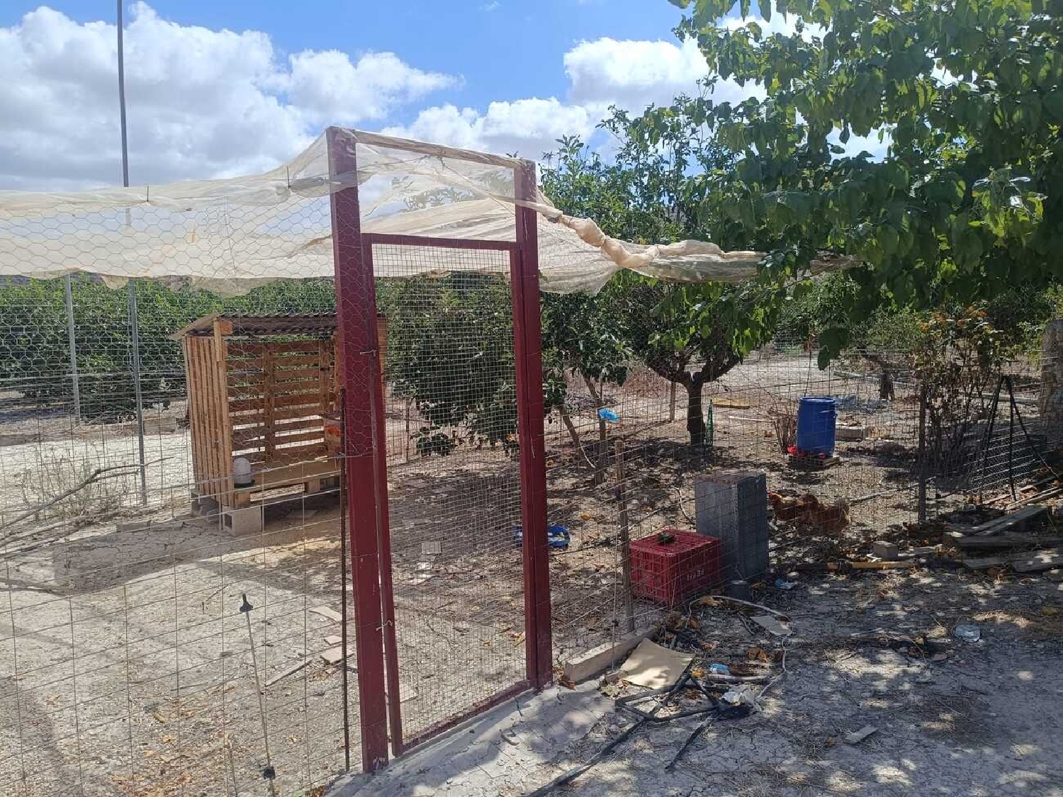  till salu villa Benferri Baix Segura 37