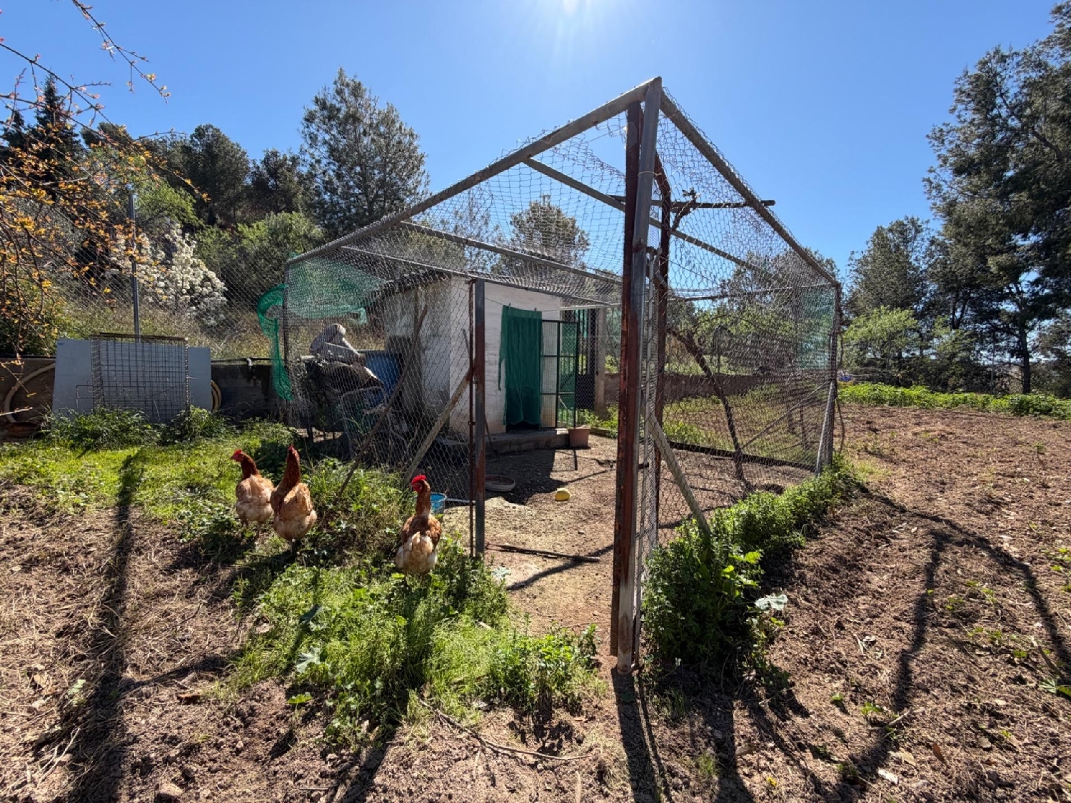  till salu villa Casinos Camp De Túria 7