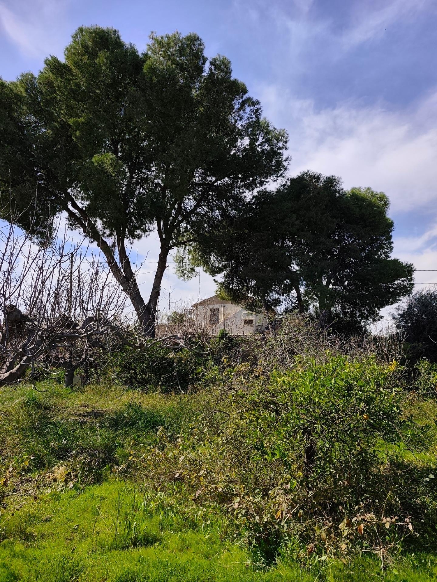 till salu villa Castrillo De Murcia Odra-Pisuerga 4