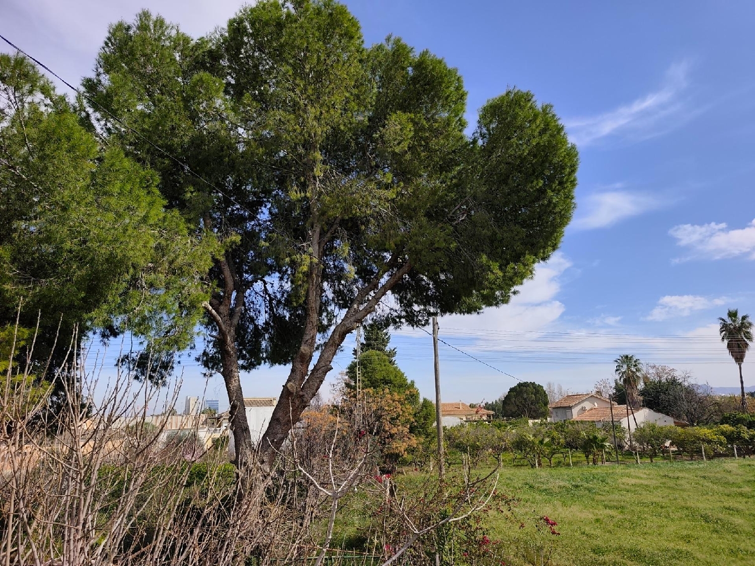 till salu villa Castrillo De Murcia Odra-Pisuerga 8