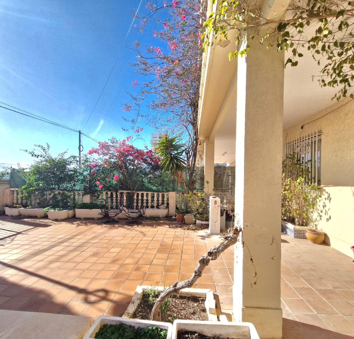  en venta chalet Crevillent Baix Vinalopó 3