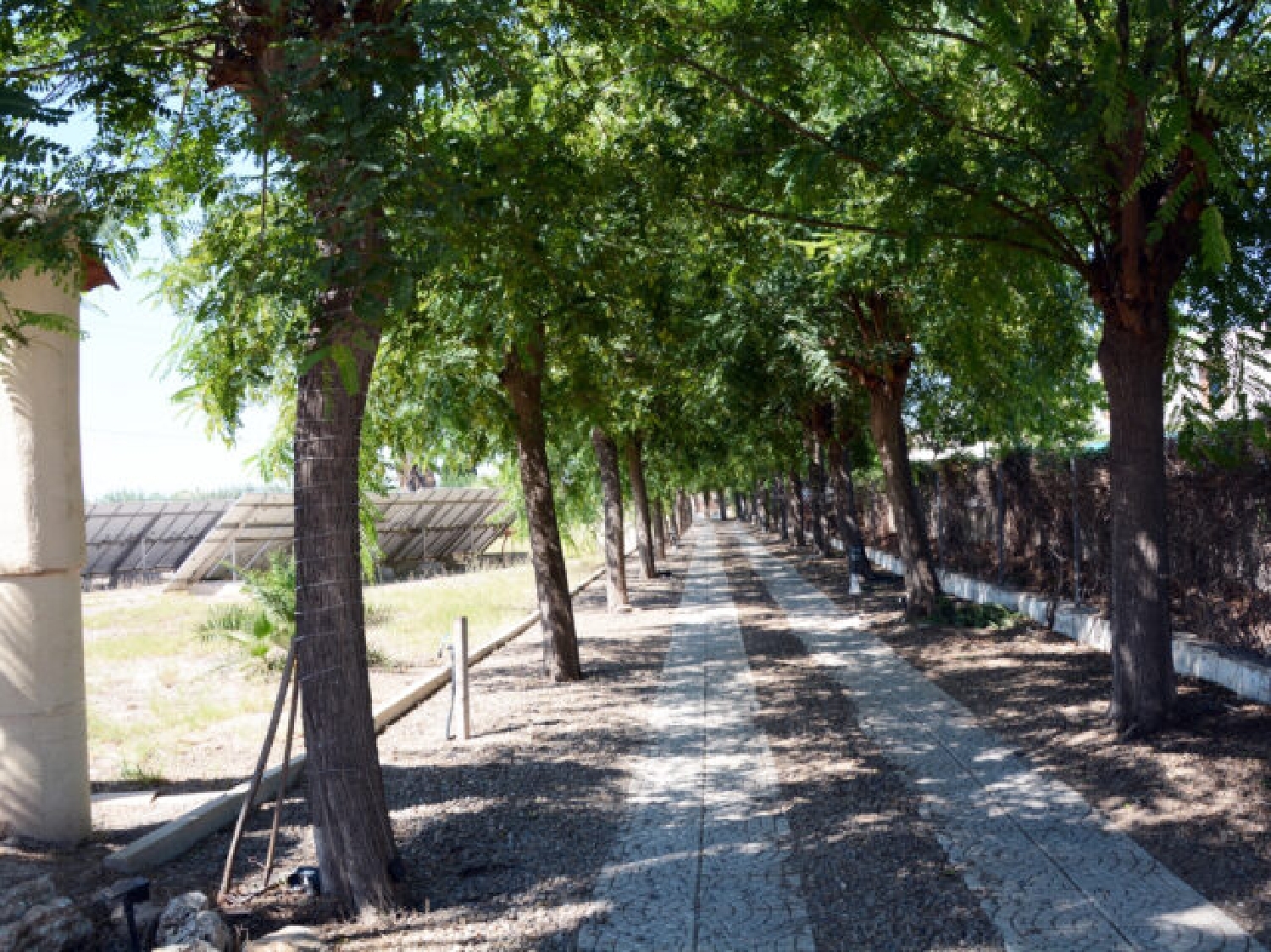  for sale villa Daya Vieja Baix Segura 6