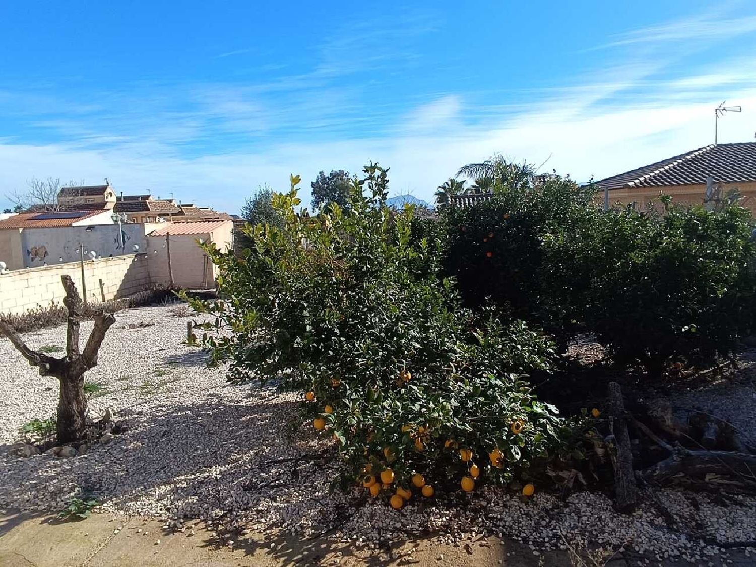  kaufen Villa Fortuna Oriental 24