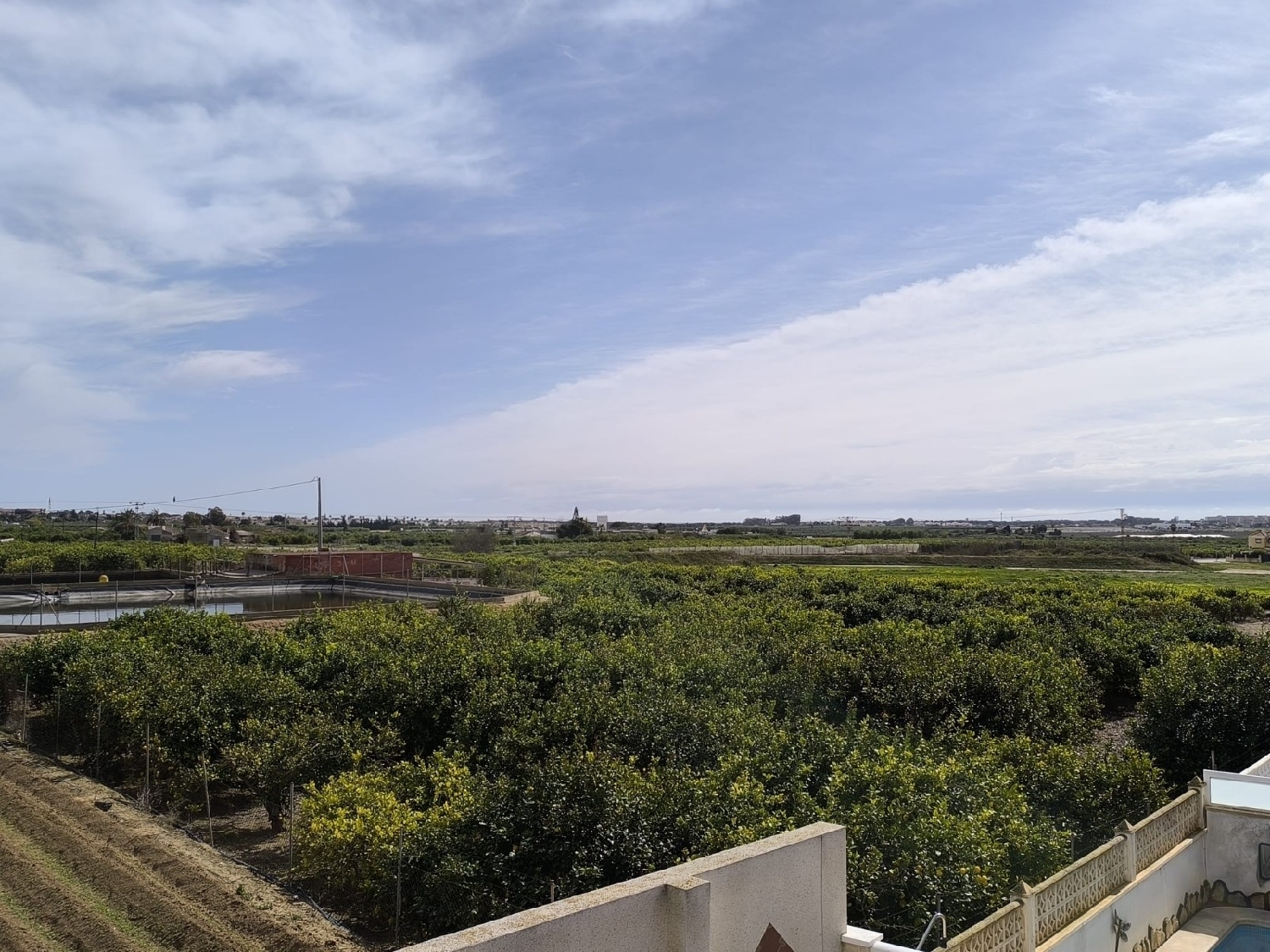  till salu villa Guardamar Del Segura Baix Segura 5