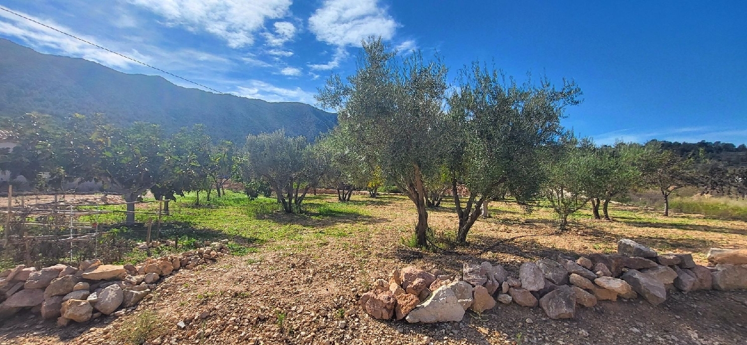  te koop villa La Romana Vinalopó Mitjà 26