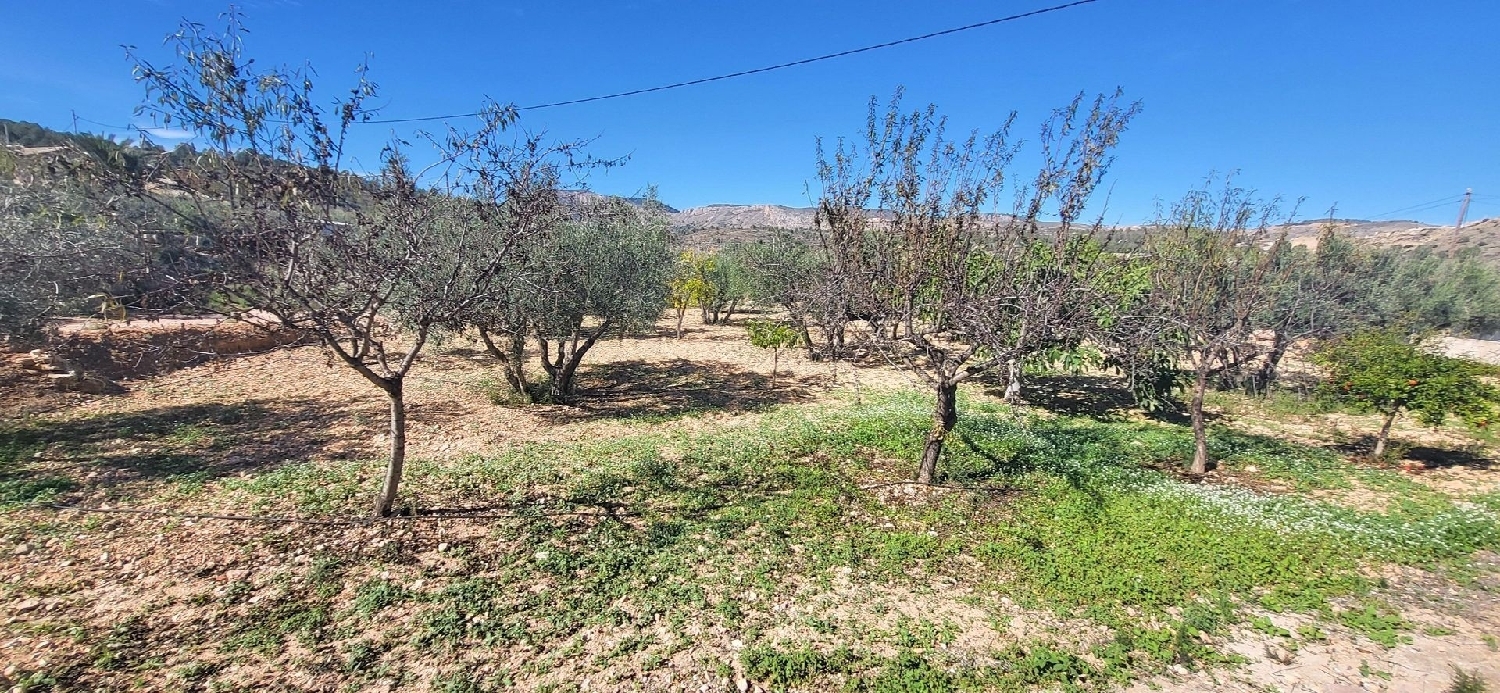  te koop villa La Romana Vinalopó Mitjà 15