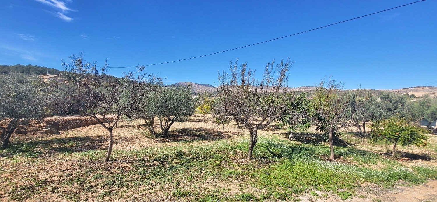  te koop villa La Romana Vinalopó Mitjà 14