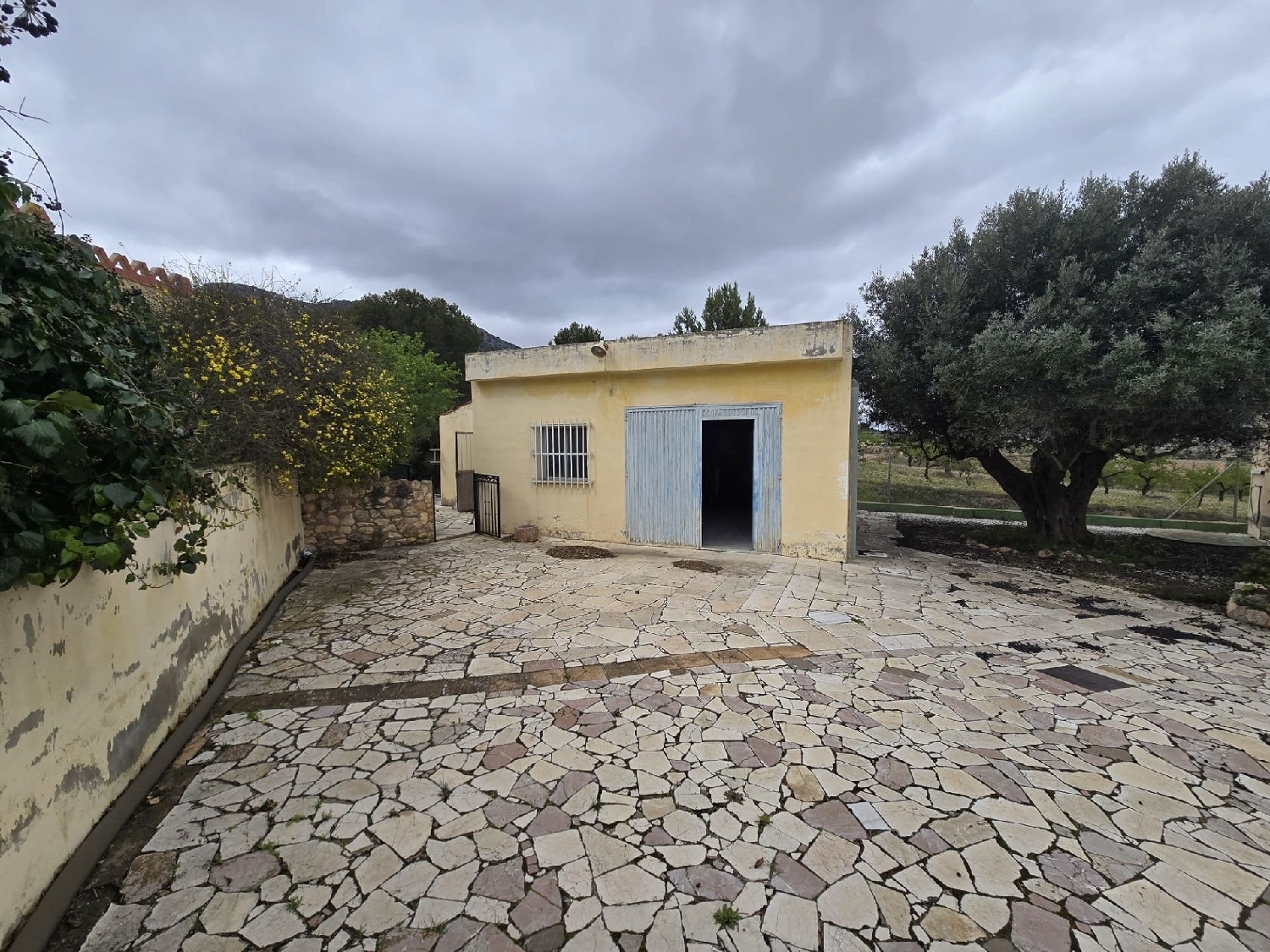  en venta chalet La Romana Vinalopó Mitjà 11