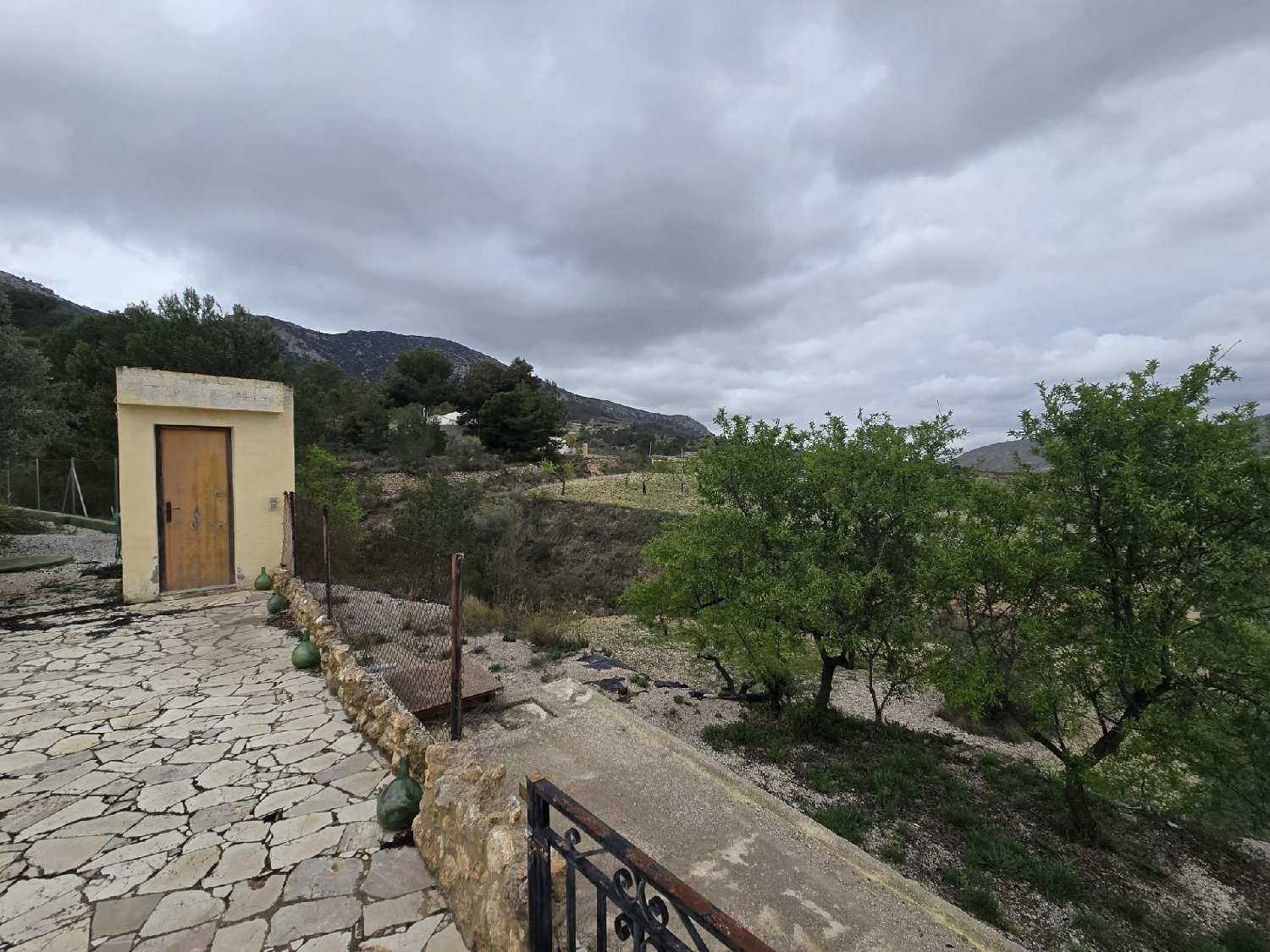  en venta chalet La Romana Vinalopó Mitjà 5