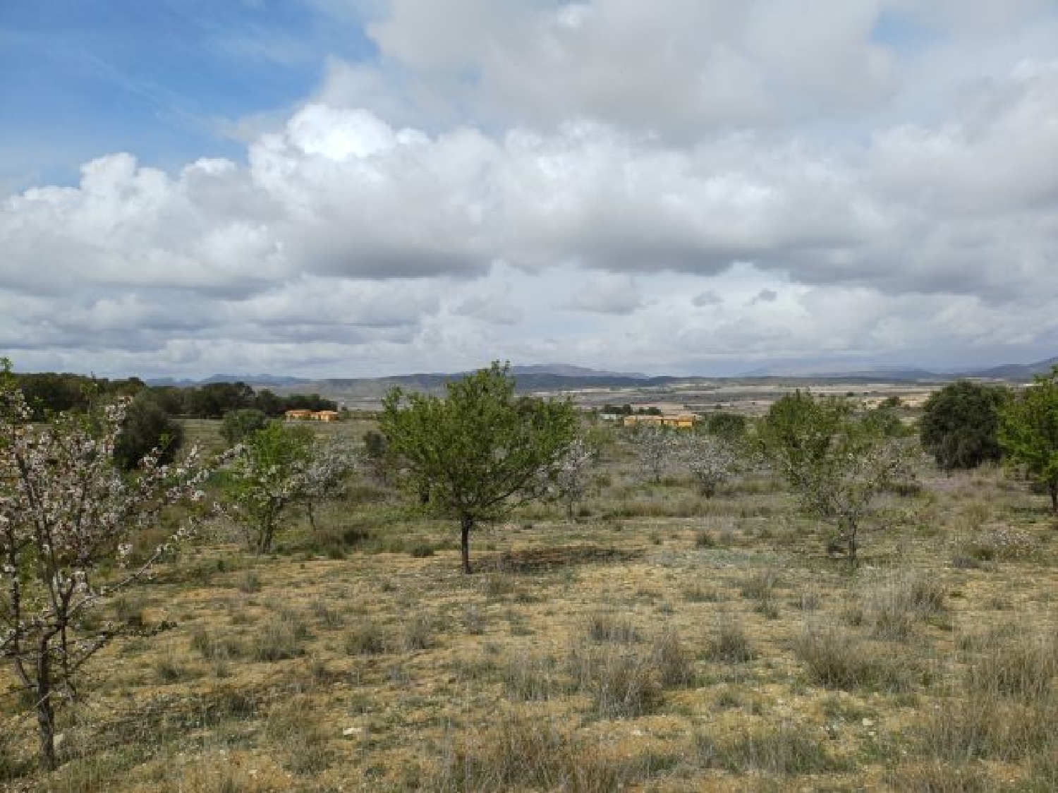  kaufen Villa La Zarza Altiplano 3