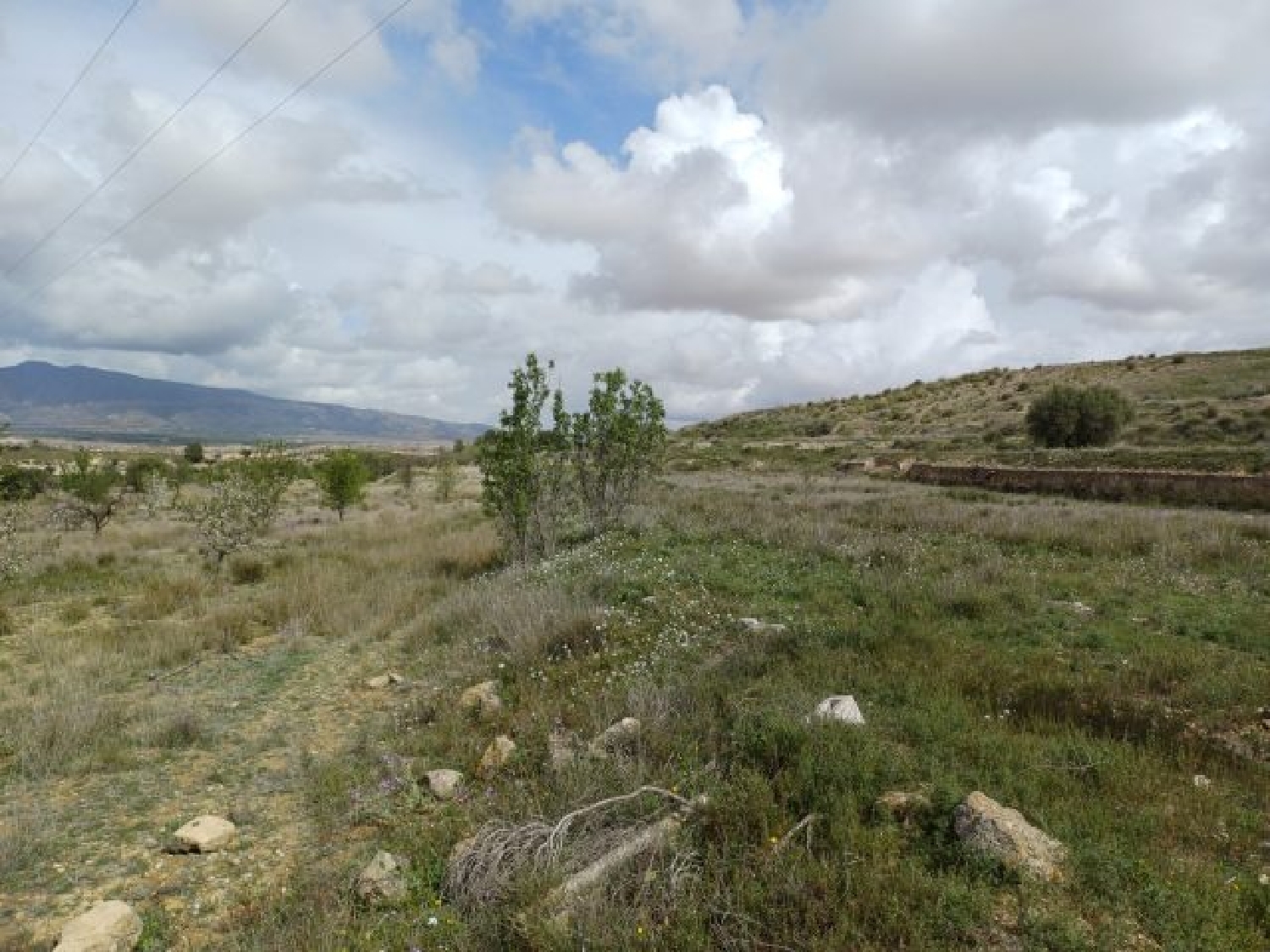  kaufen Villa La Zarza Altiplano 4