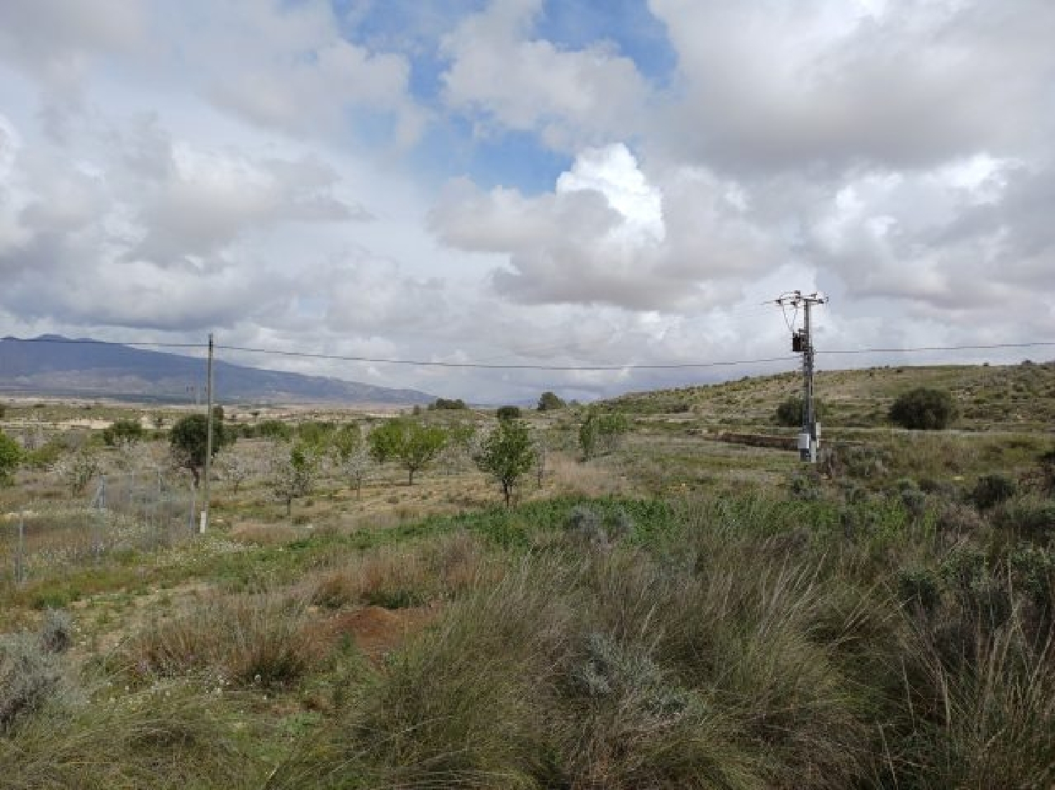  kaufen Villa La Zarza Altiplano 6