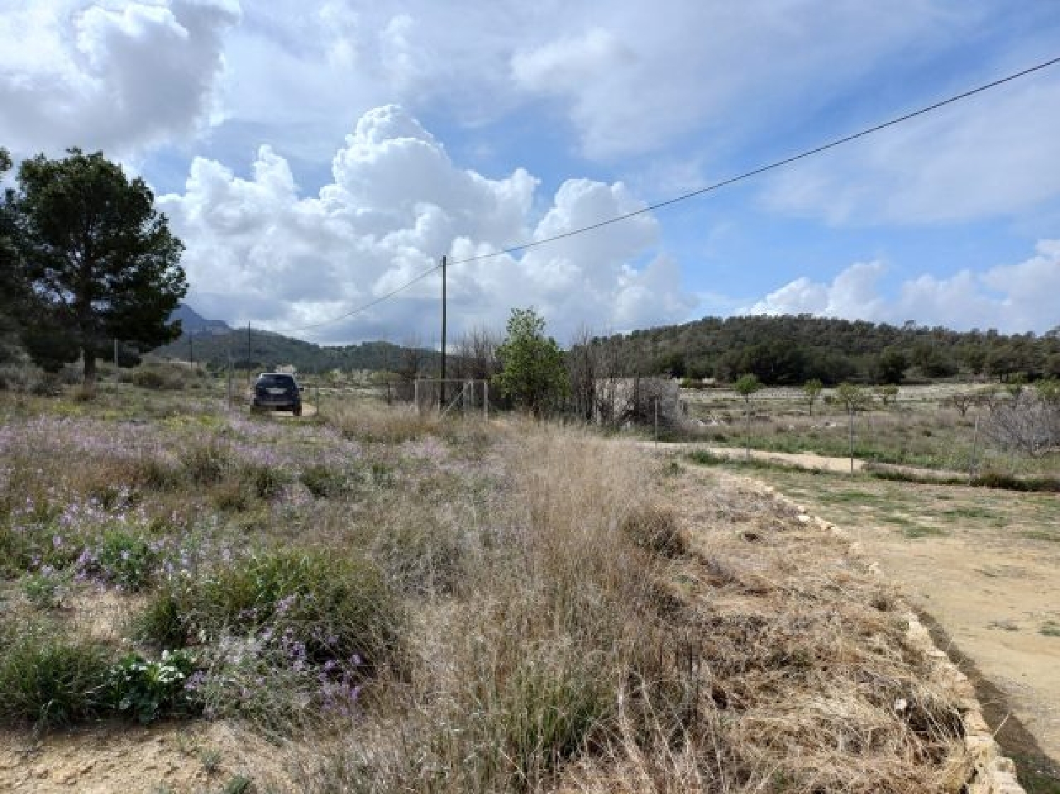  kaufen Villa La Zarza Altiplano 10