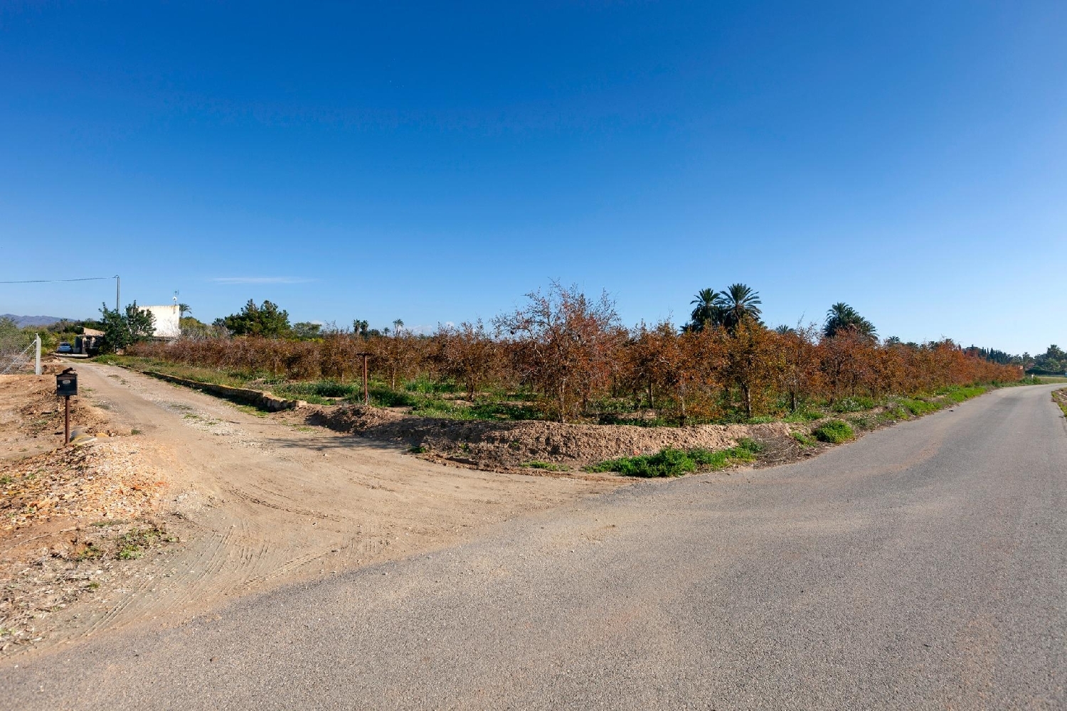  te koop villa Matola Baix Vinalopó 7