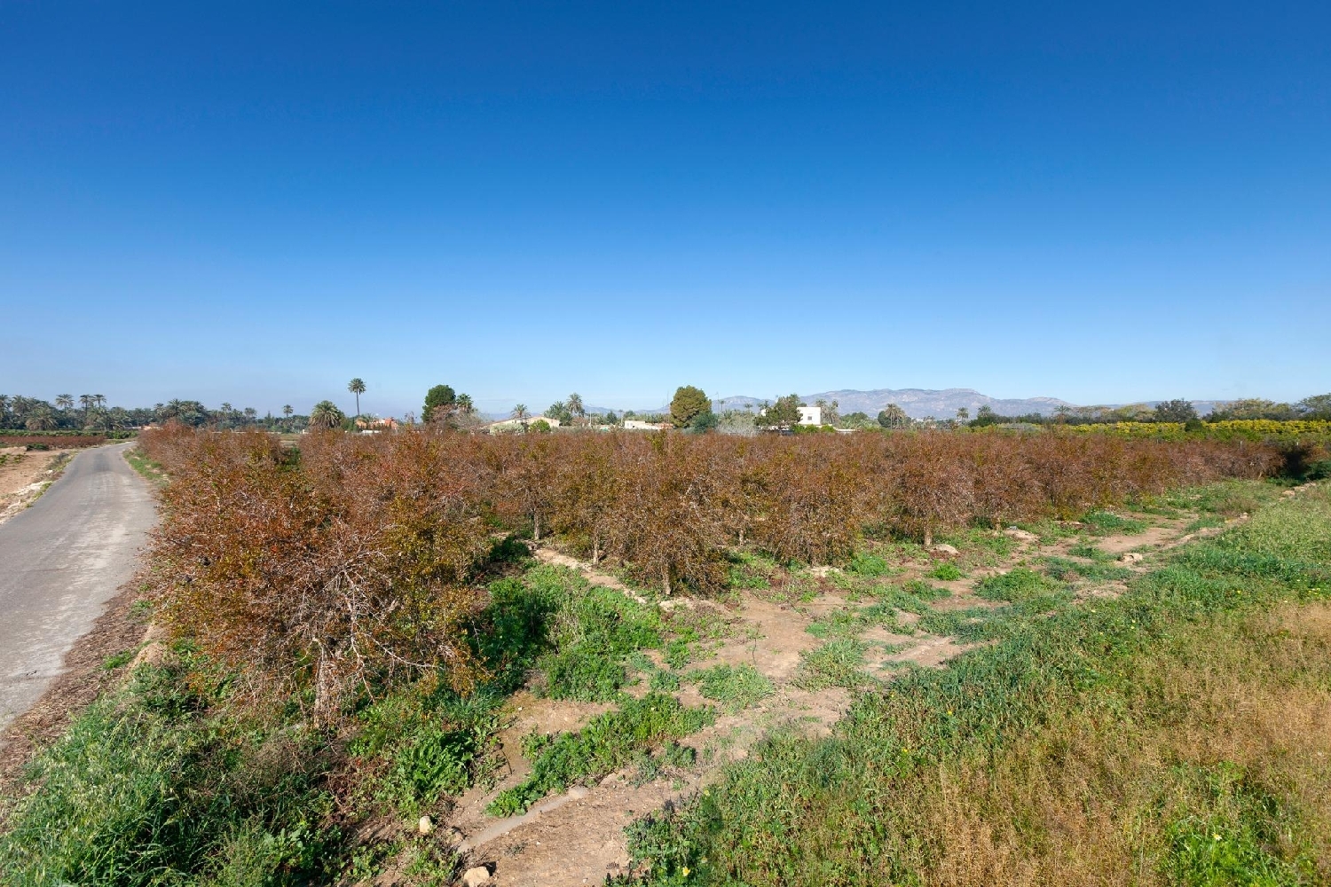  te koop villa Matola Baix Vinalopó 6