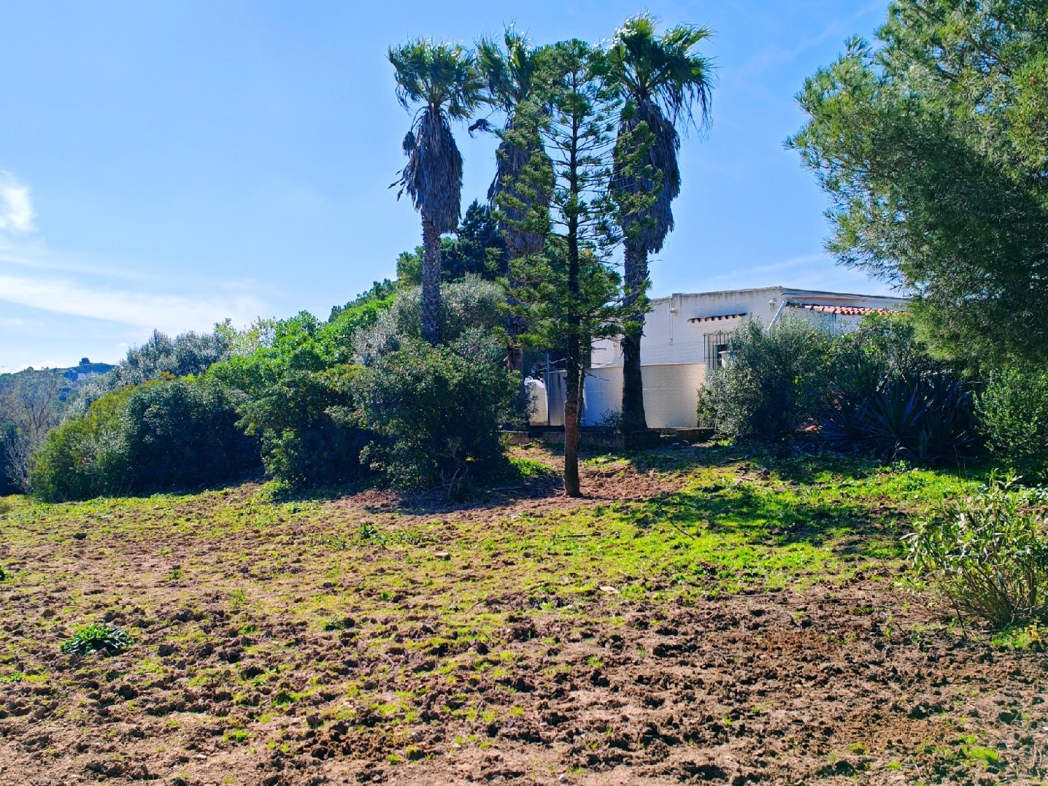  à vendre villa Medina Sidonia Janda (La) 8