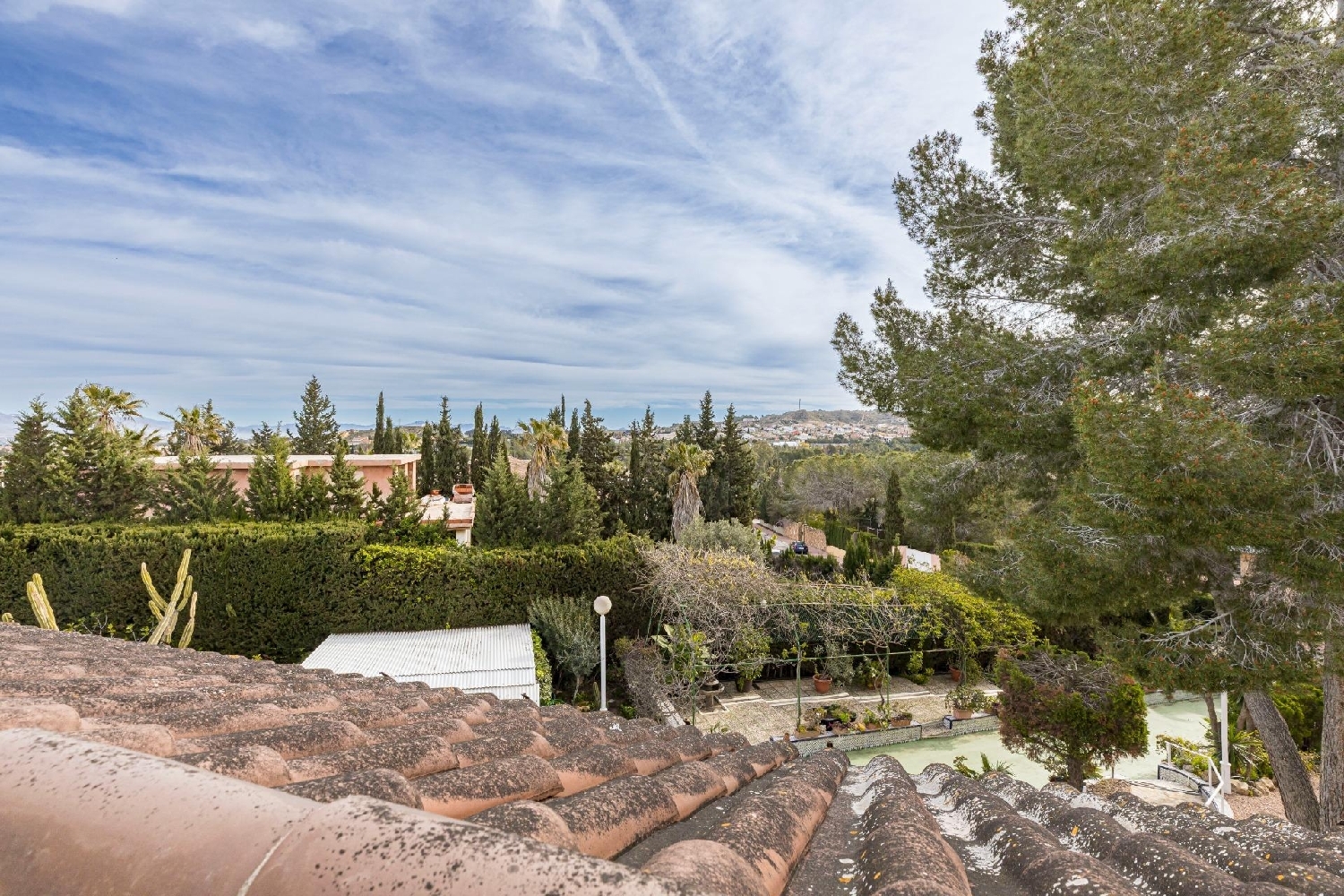  à vendre villa Molina De Segura Vega Media Del Segura 35