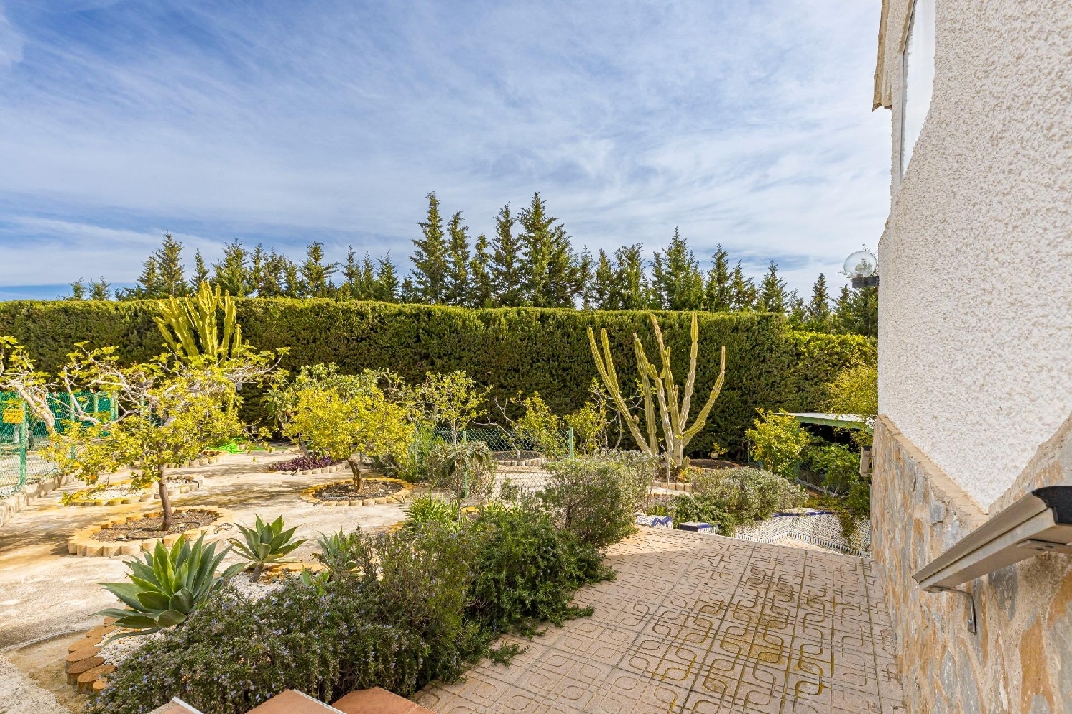  à vendre villa Molina De Segura Vega Media Del Segura 37