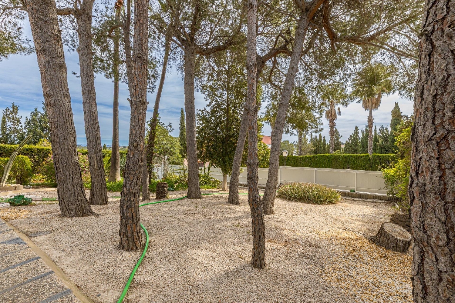  à vendre villa Molina De Segura Vega Media Del Segura 39