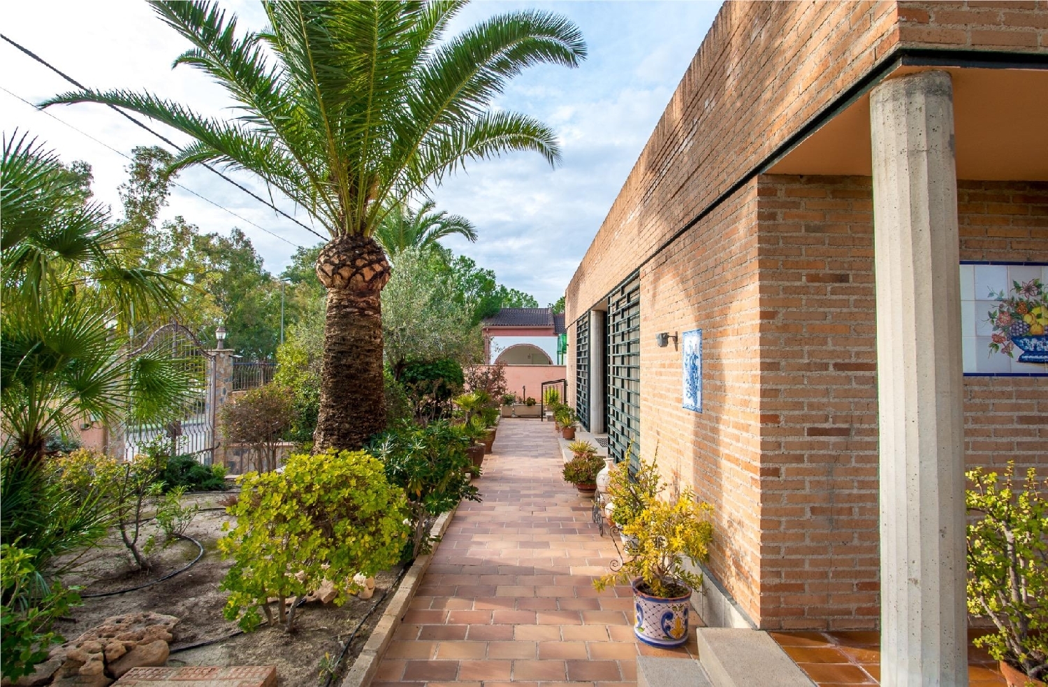  à vendre villa Molina De Segura Vega Media Del Segura 7