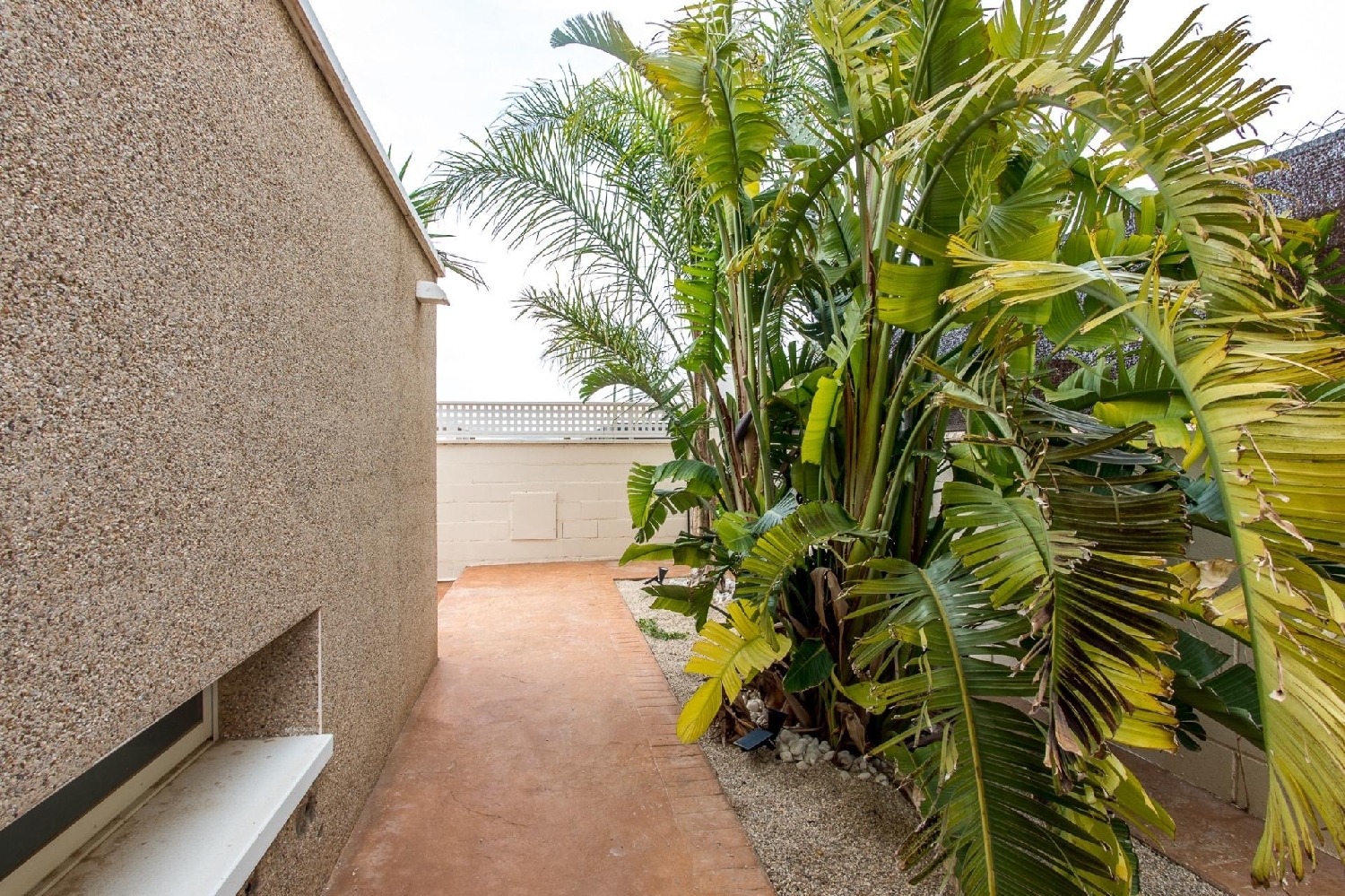  for sale villa Molina De Segura Vega Media Del Segura 5