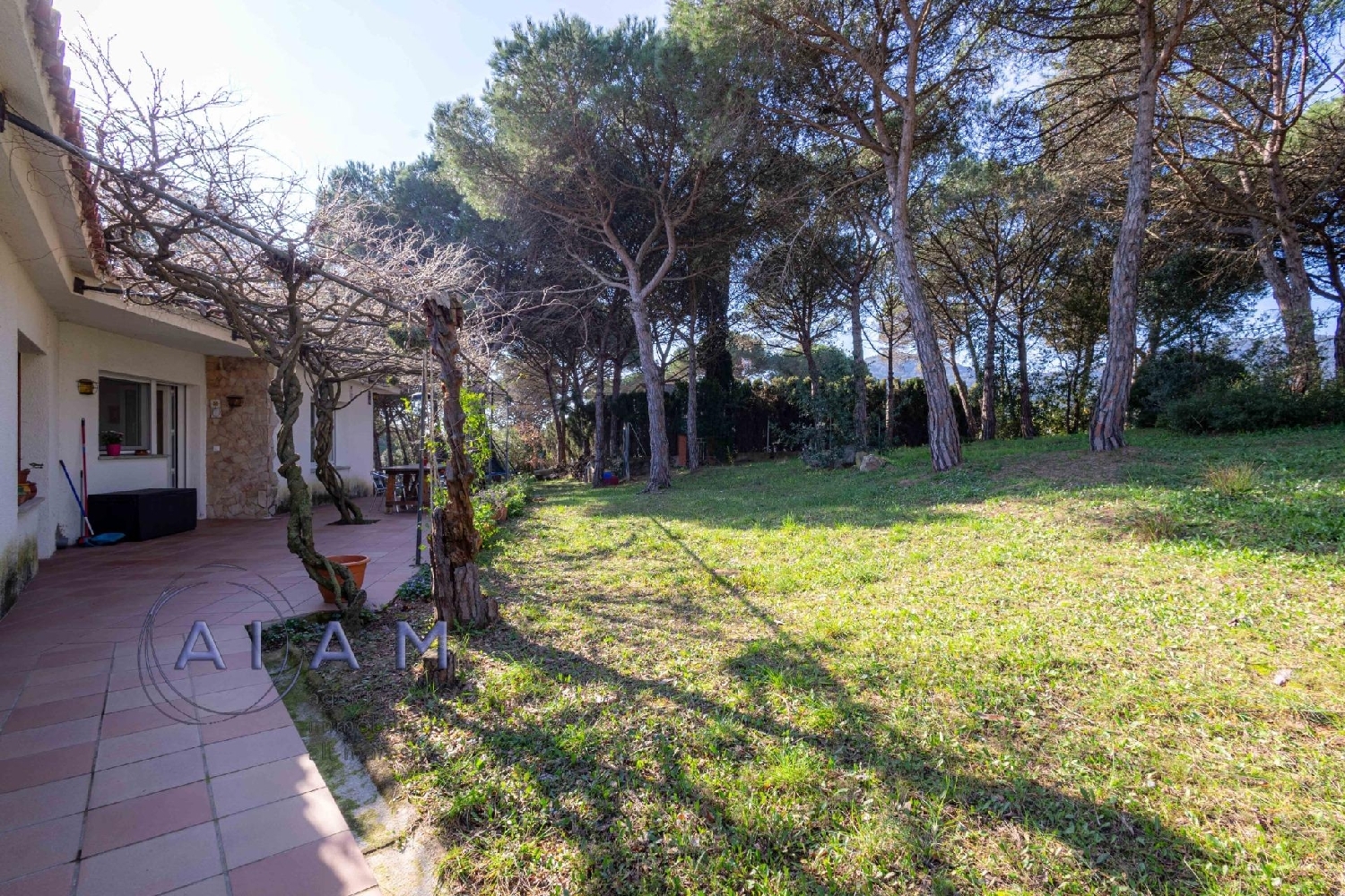 for sale villa Palafolls Maresme 8