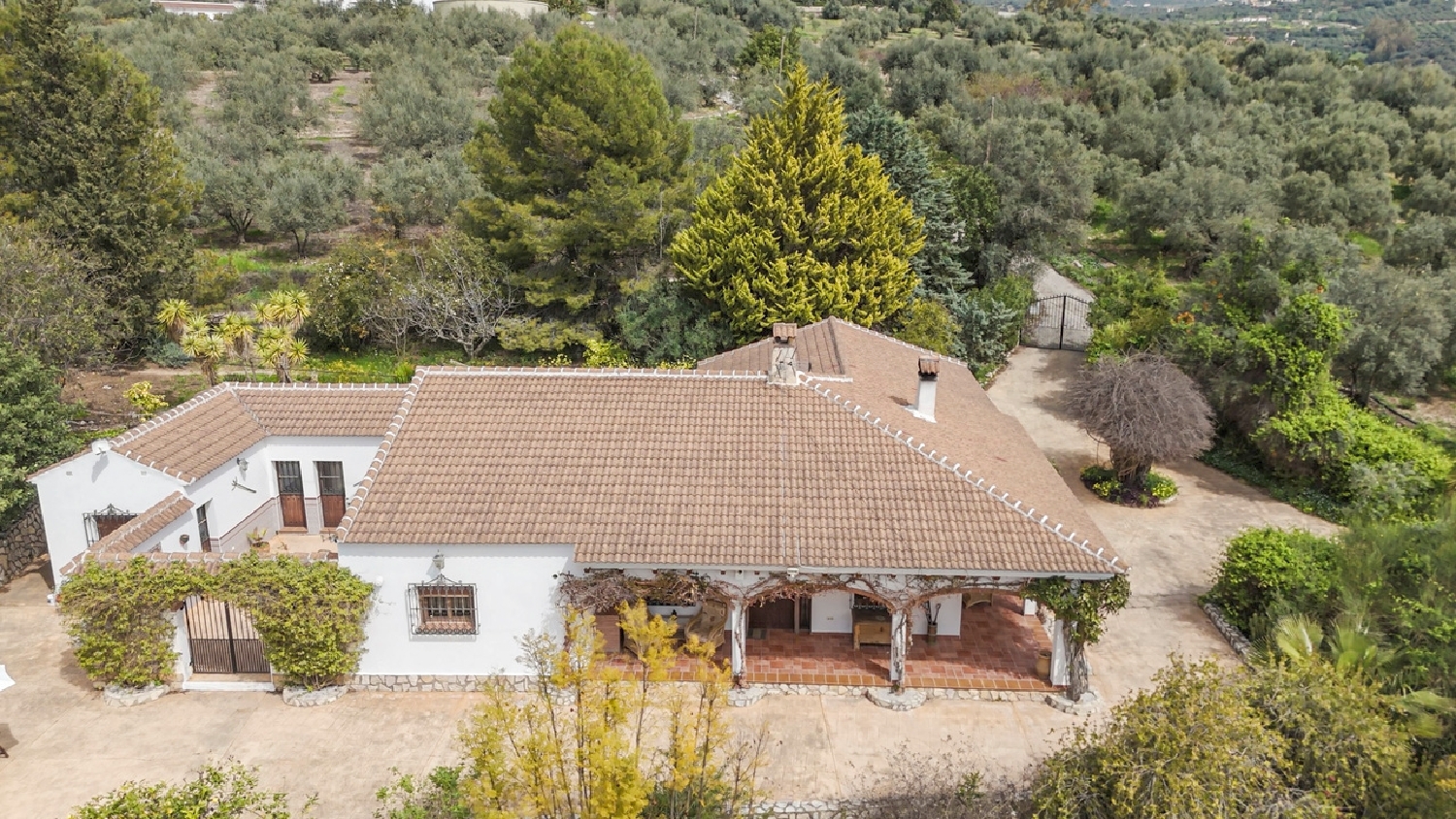 kaufen Villa Periana Axarquía 2