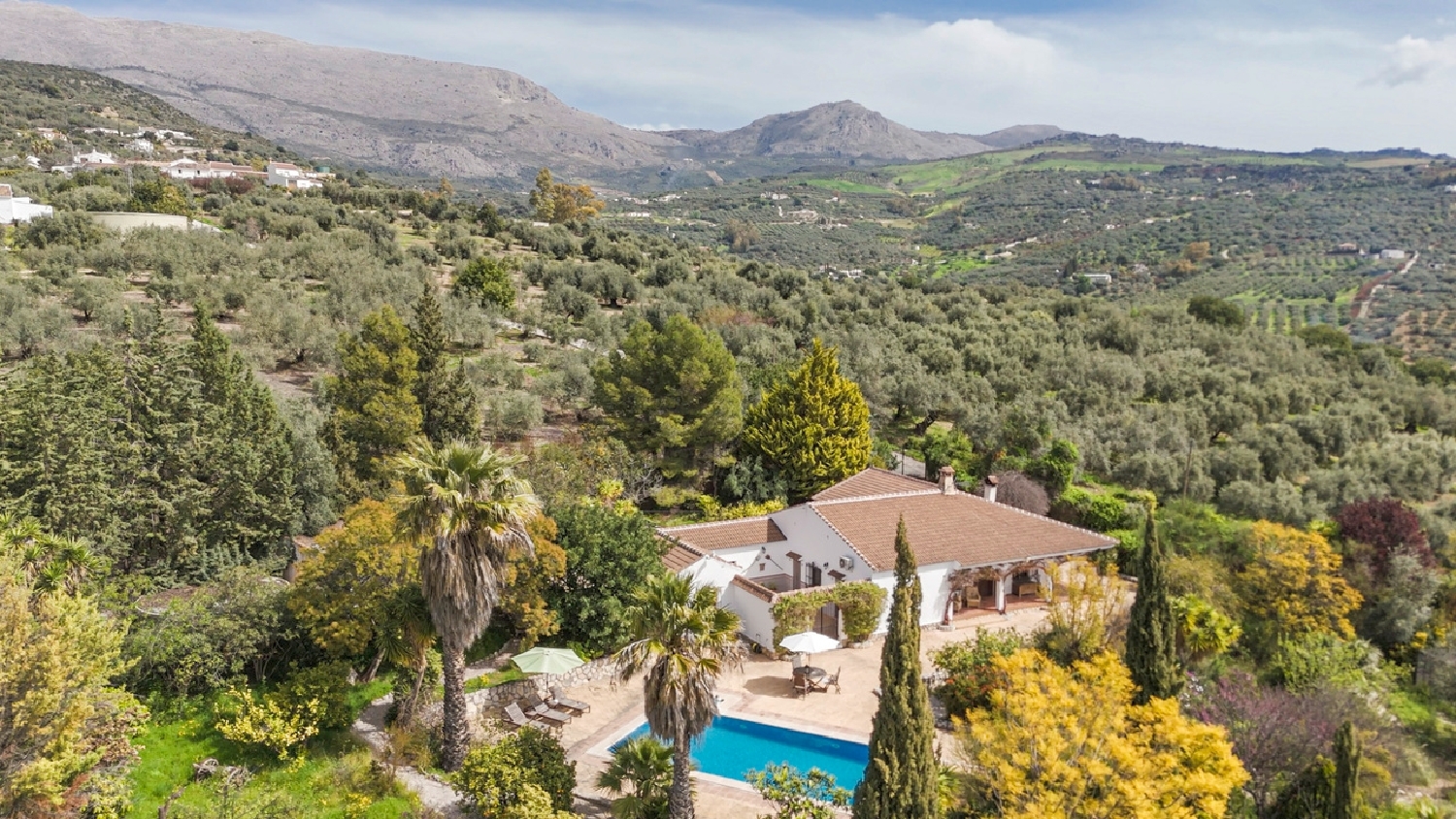 kaufen Villa Periana Axarquía 6