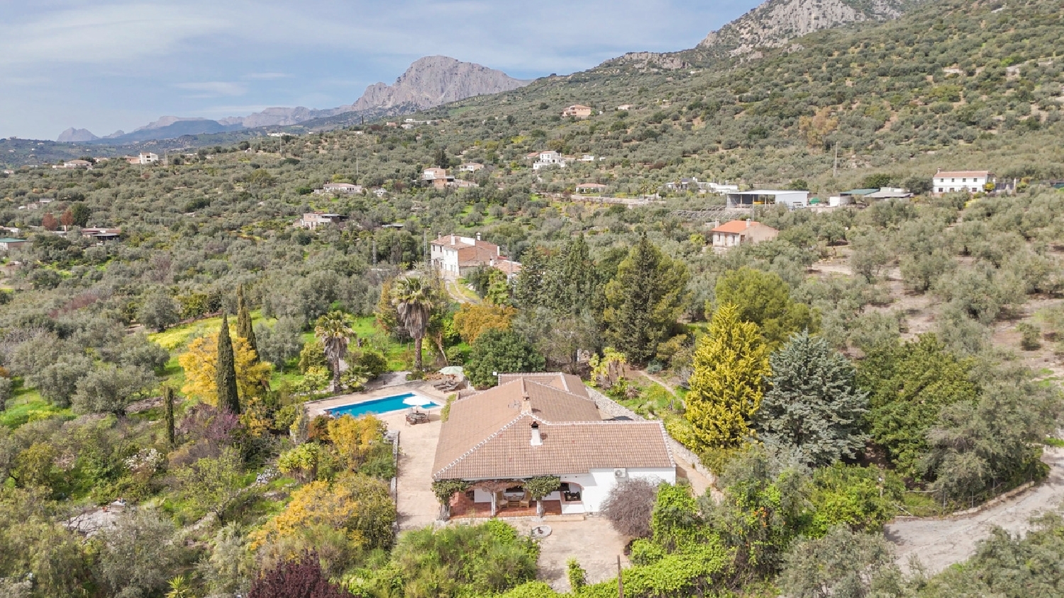 kaufen Villa Periana Axarquía 8