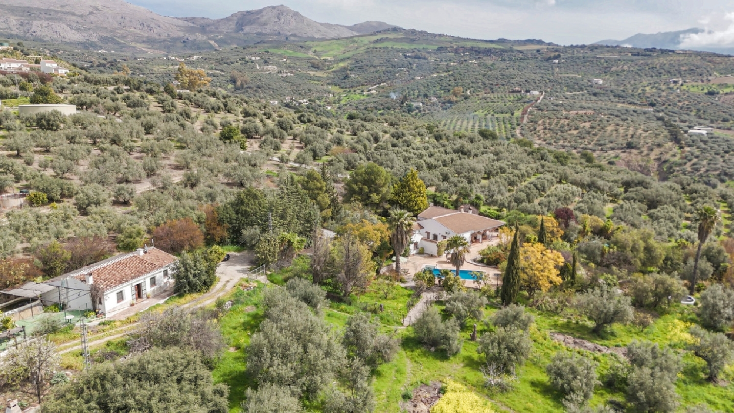 kaufen Villa Periana Axarquía 7