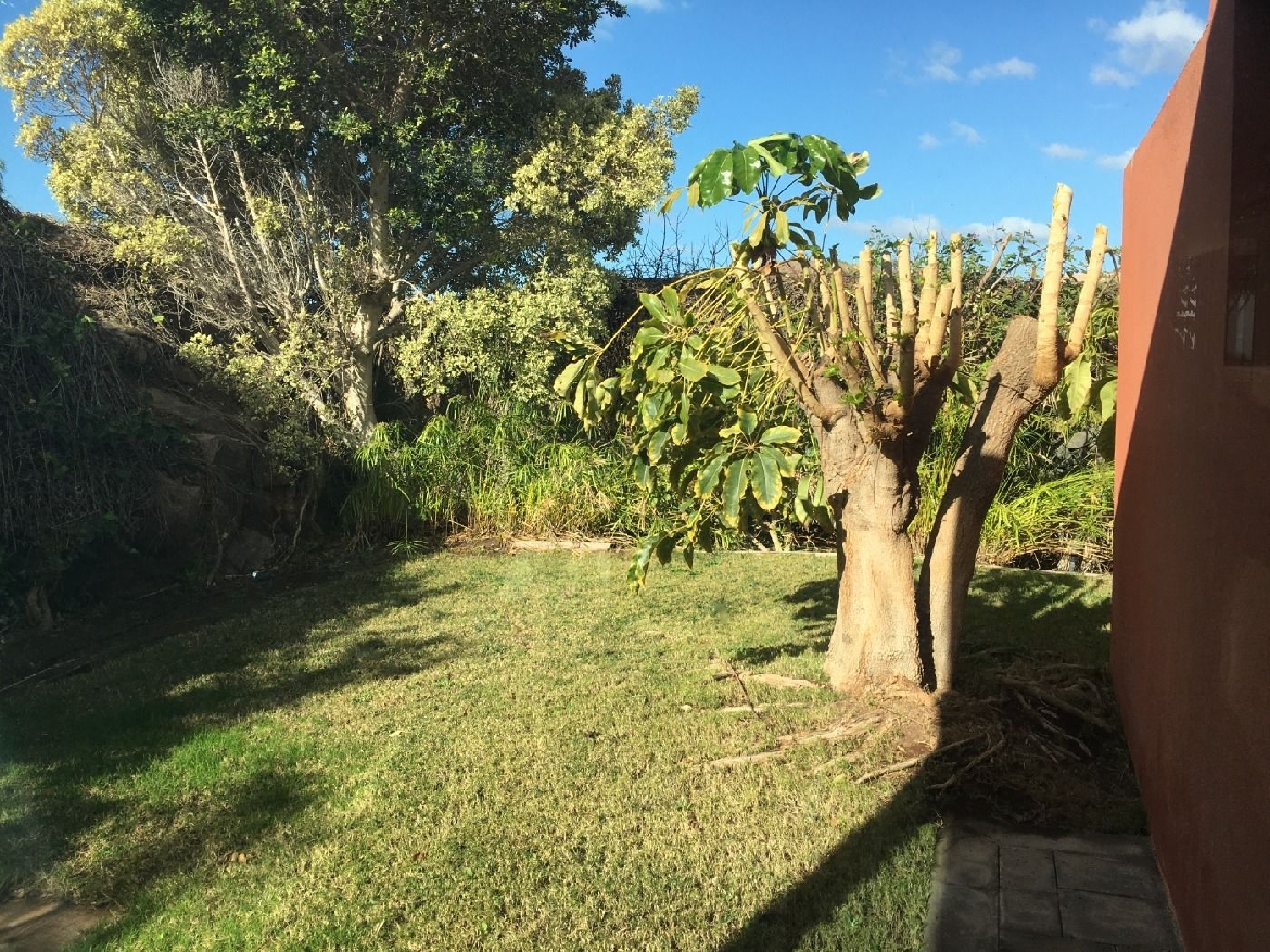  à vendre villa San Bartolomé De Tirajana Área Sur 8