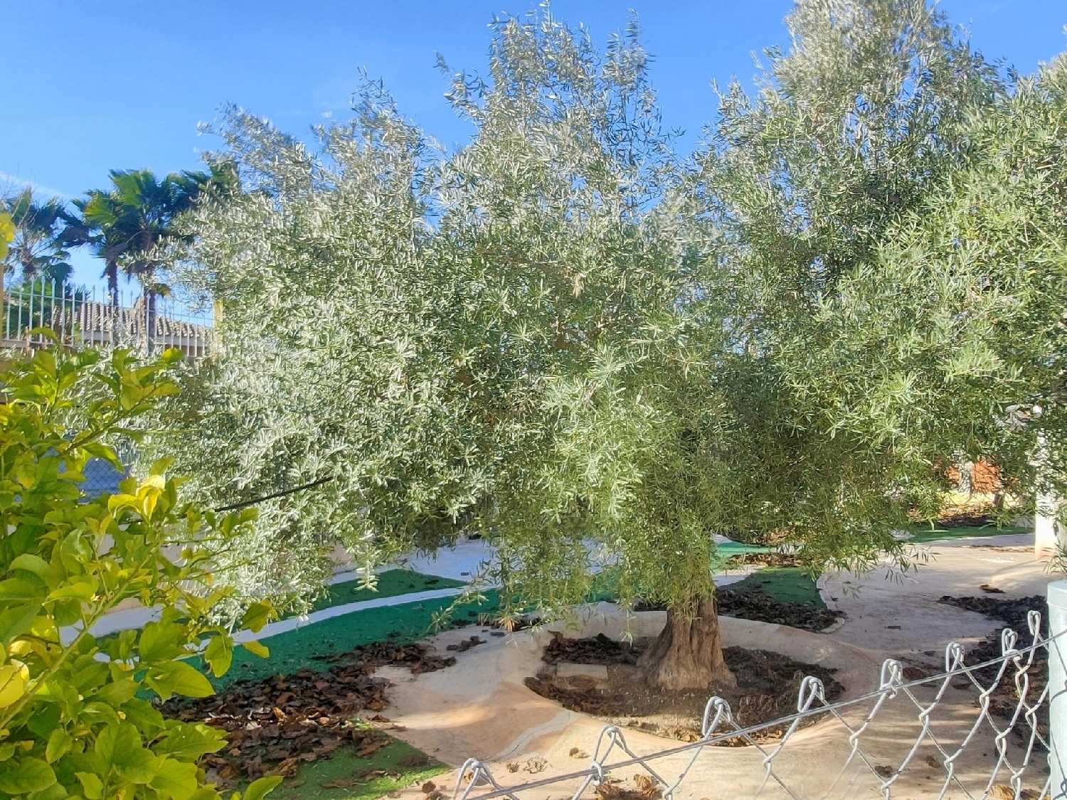  en venta chalet San Vicente Del Raspeig Alacantí 14