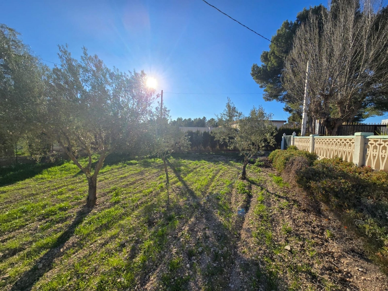  till salu villa Sax Alt Vinalopó 23