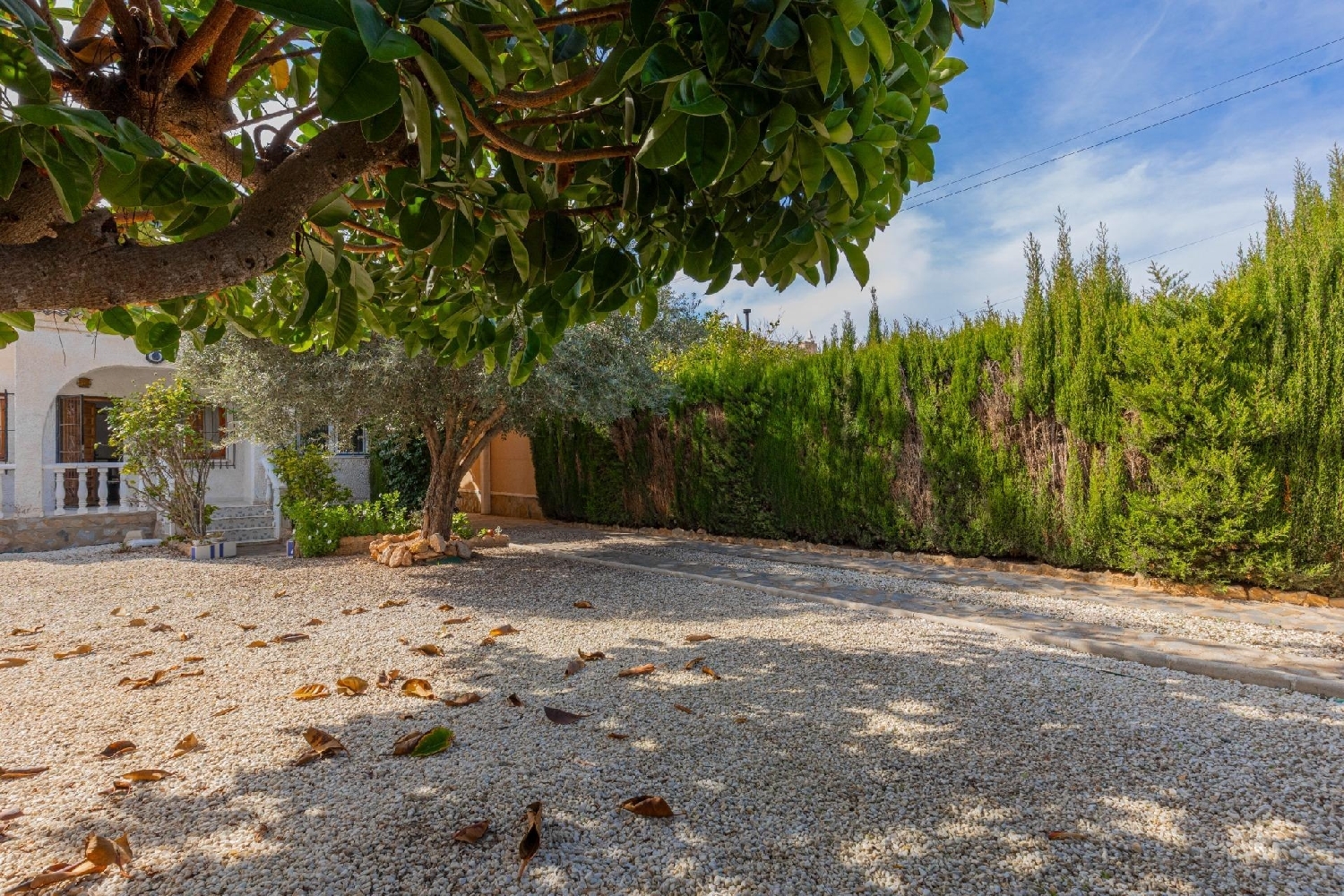  for sale villa Torrevieja Baix Segura 5