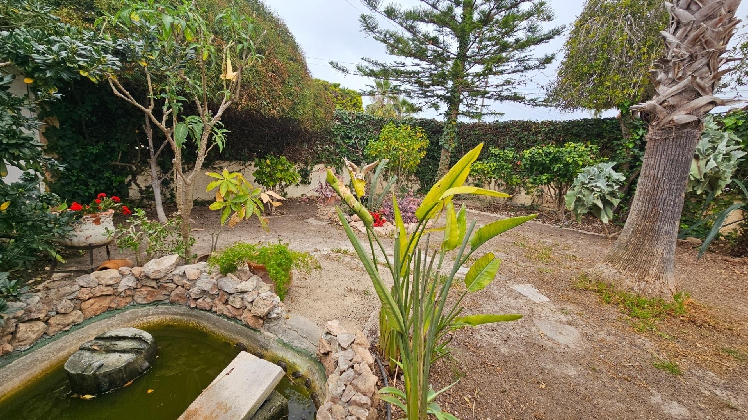  for sale villa Torrevieja Baix Segura 3