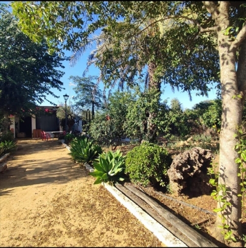 Umbrete Aljarafe Villa Bild 6365799