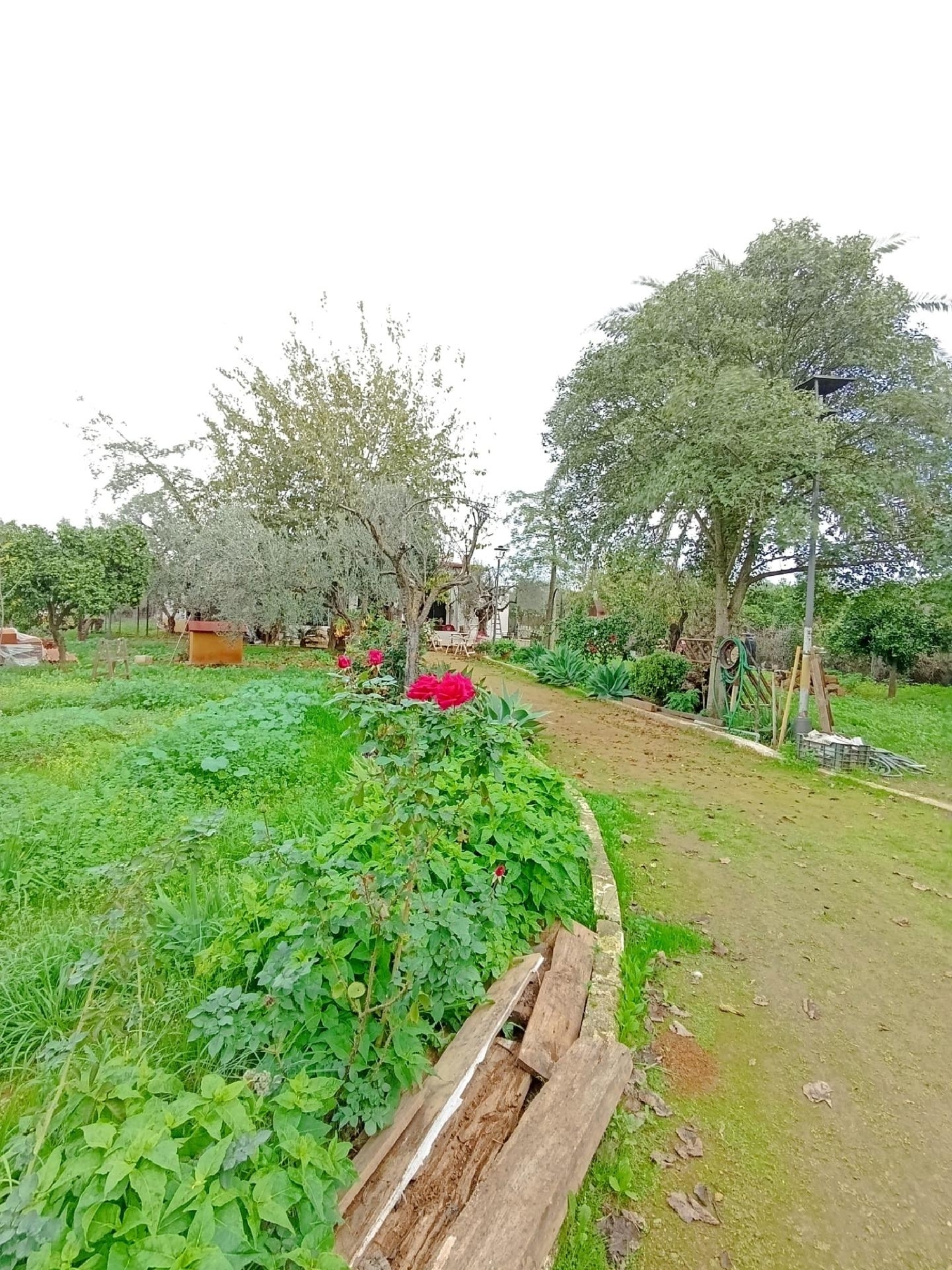  kaufen Villa Umbrete Aljarafe 3