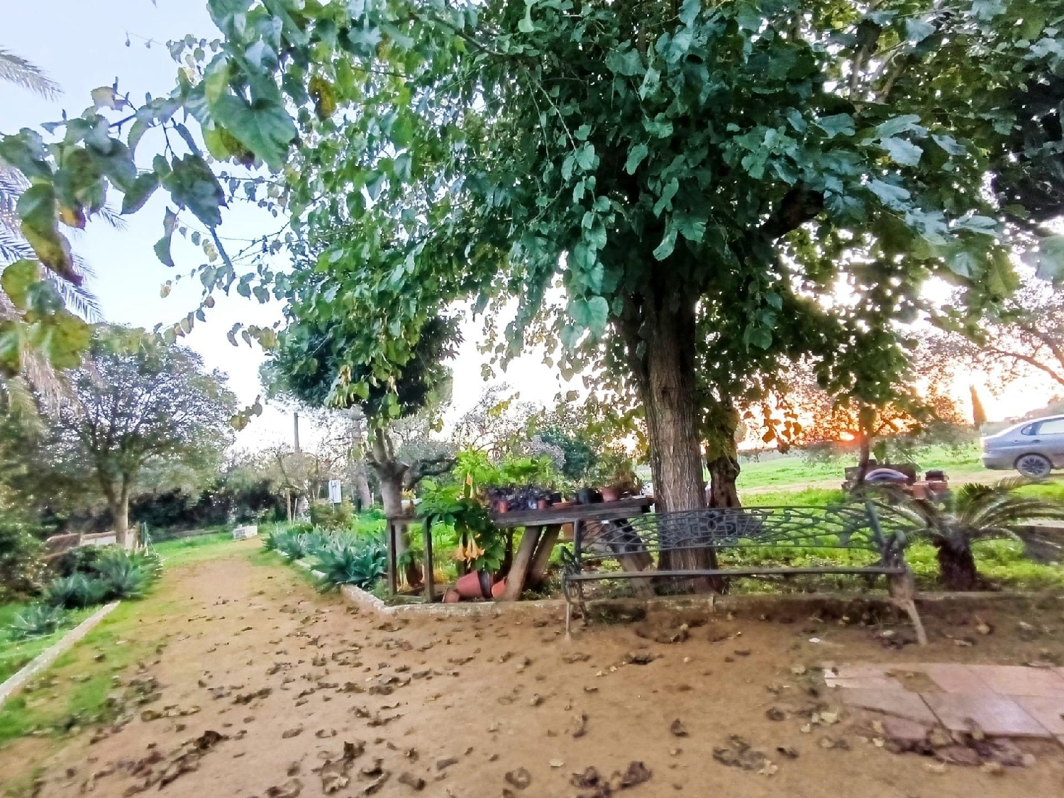  kaufen Villa Umbrete Aljarafe 5