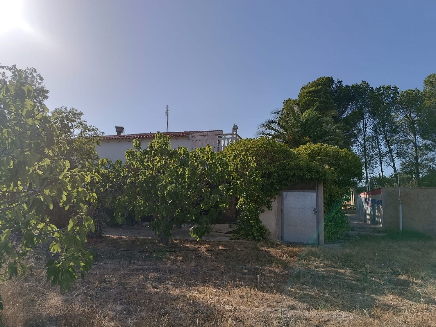  te koop villa Yecla Altiplano 17