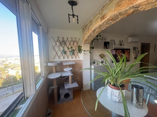 Algeciras Casco Antiguo Campo De Gibraltar apartamento foto 6370569