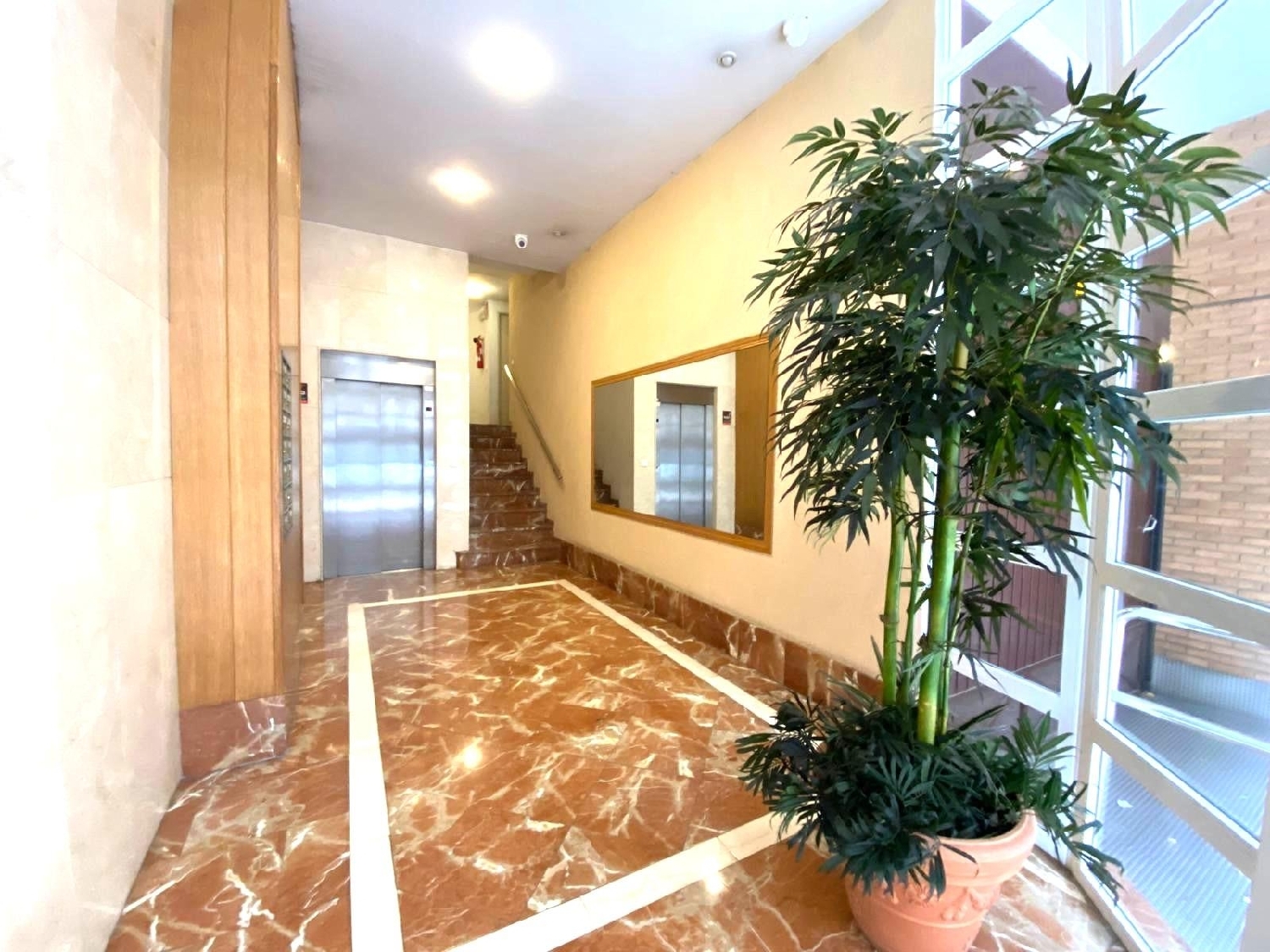  kaufen Wohnung Alicante Centro 03001 Alacantí 4