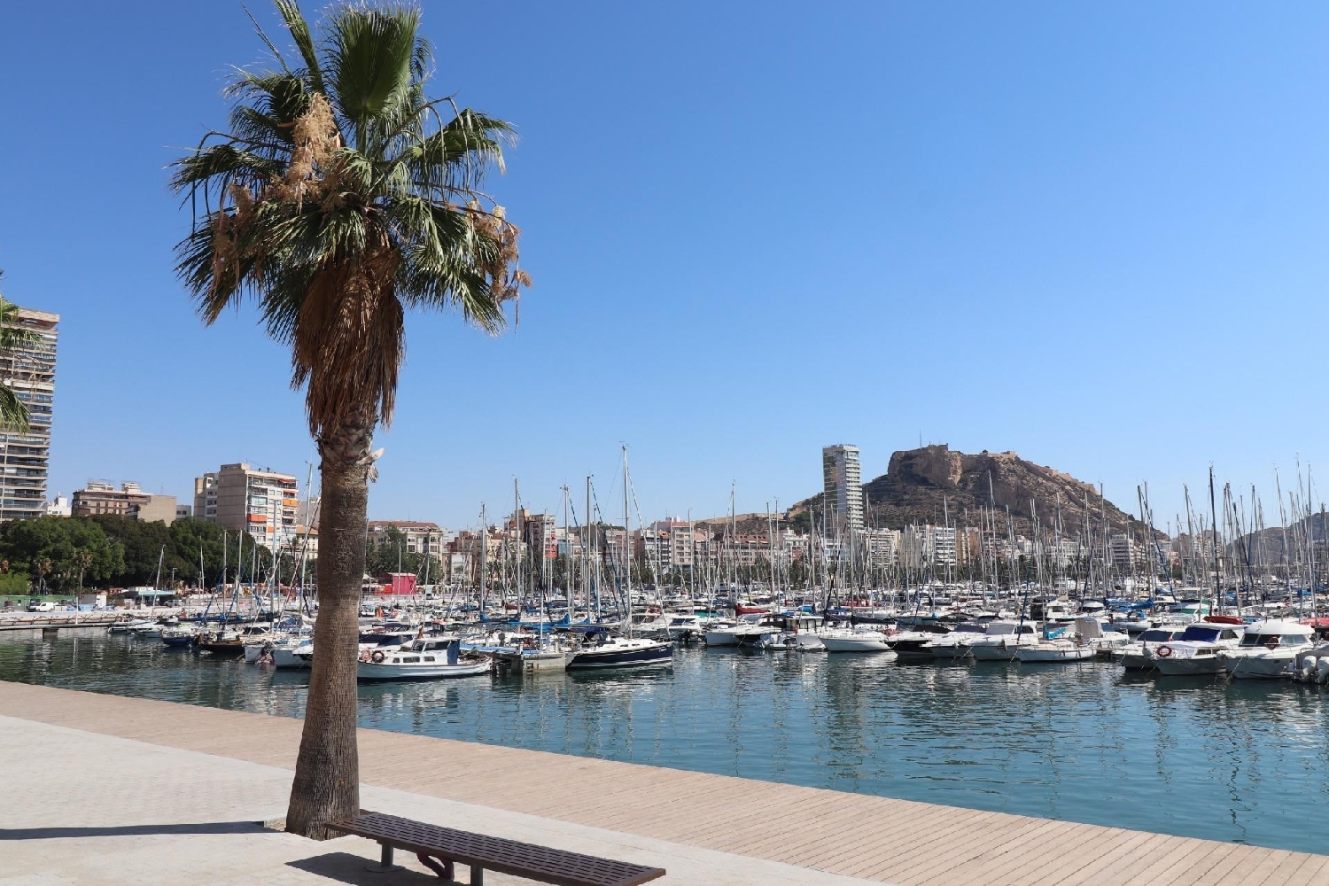  kaufen Wohnung Alicante Centro 03001 Alacantí 1