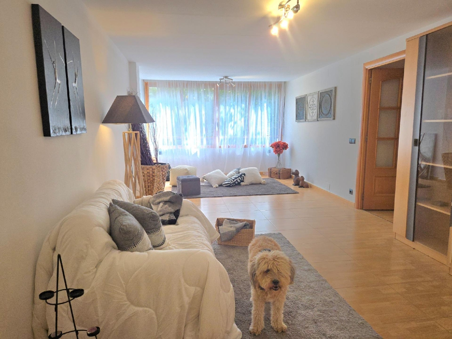  kaufen Wohnung Alicante Centro 03001 Alacantí 1