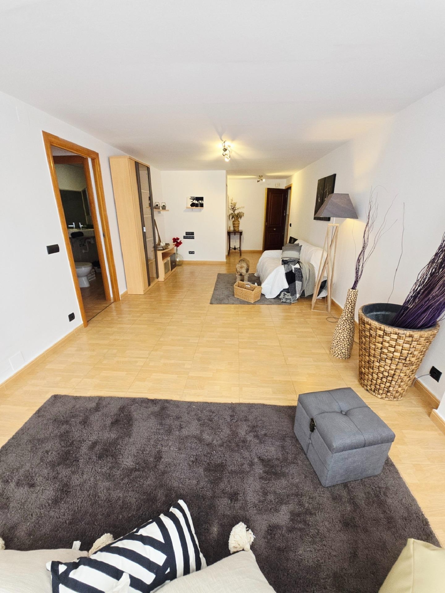  kaufen Wohnung Alicante Centro 03001 Alacantí 2