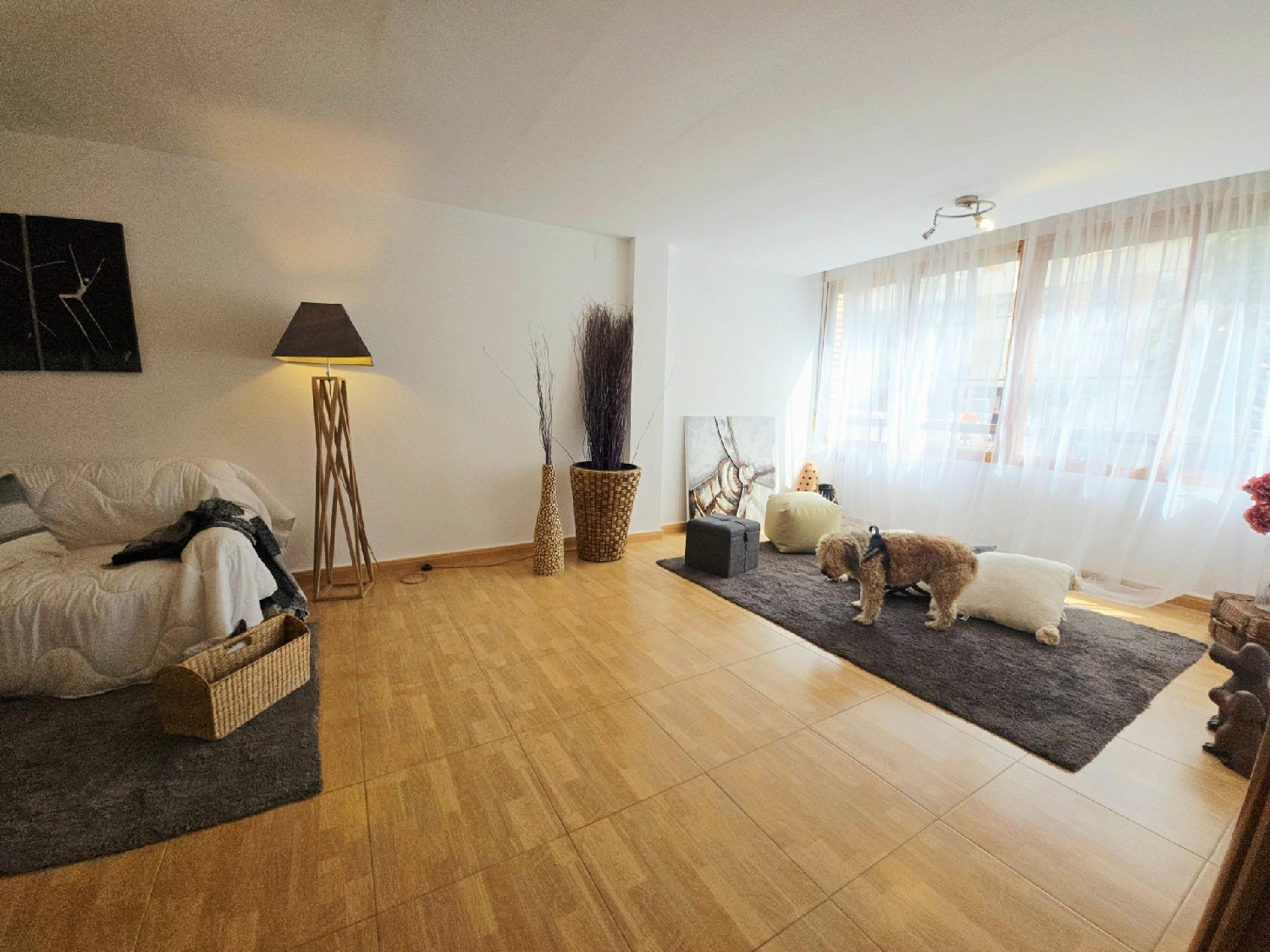  kaufen Wohnung Alicante Centro 03001 Alacantí 4