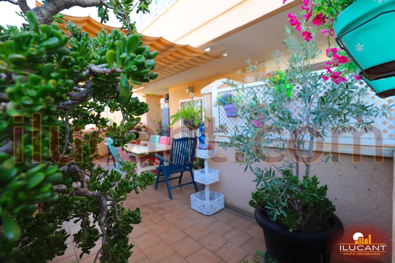  for sale apartment Alicante Centro 03001 Alacantí 5