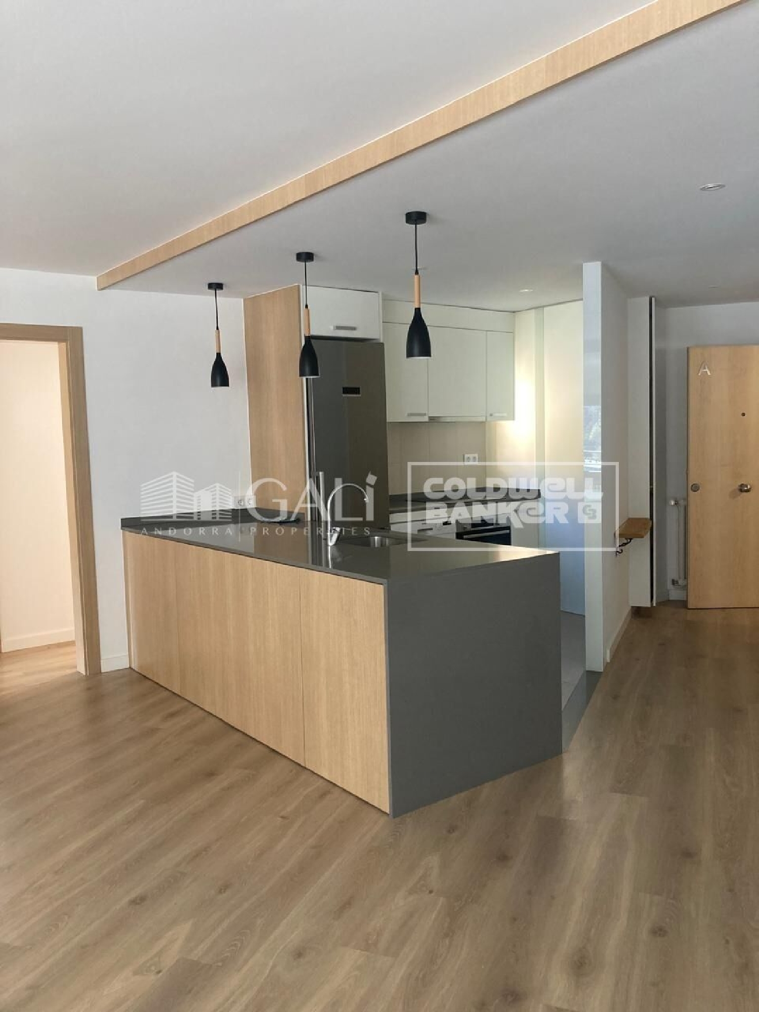  kaufen Wohnung Andorra La Vella Andorra La Vella 5