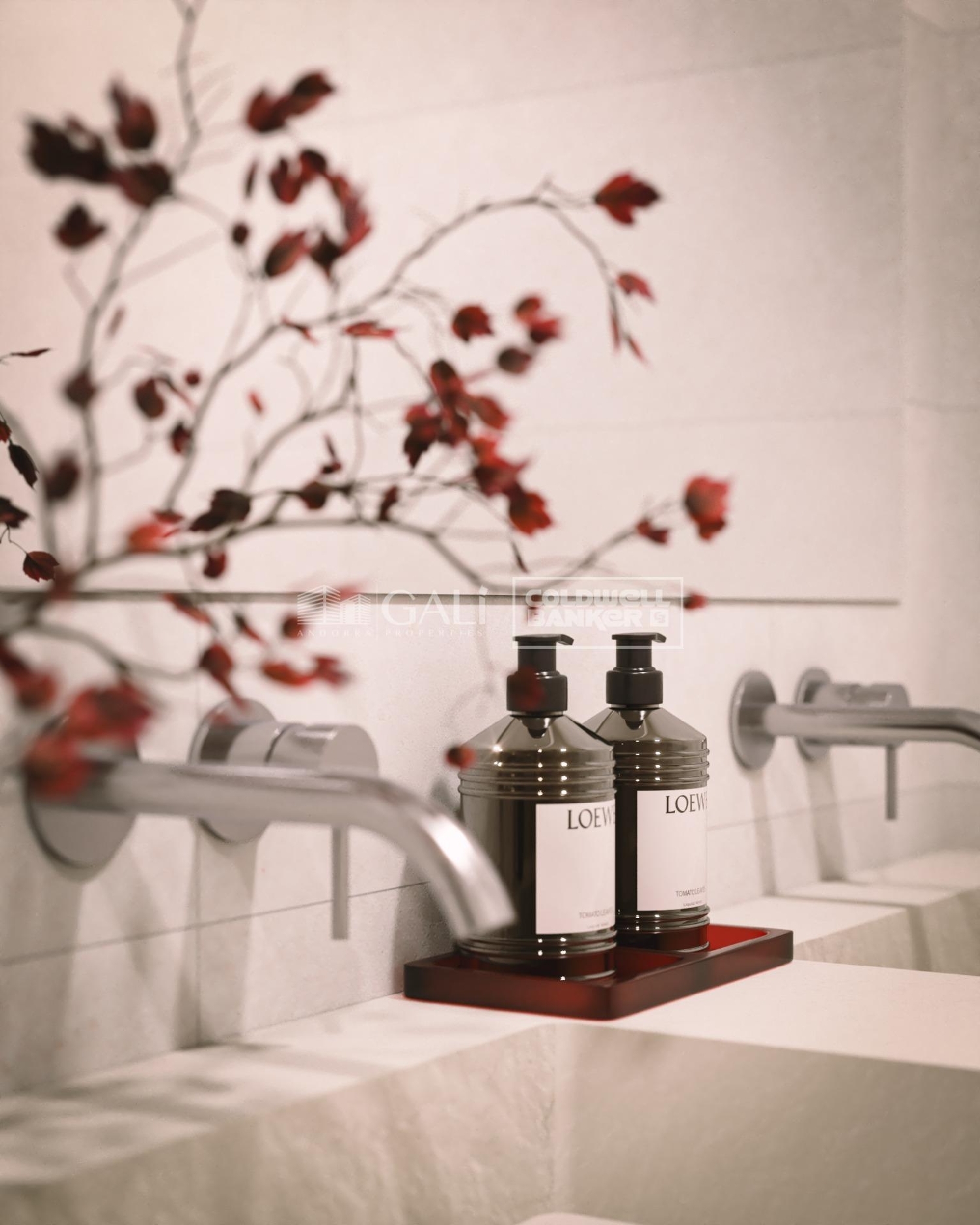  à vendre appartement Andorra La Vella Andorra La Vella 4