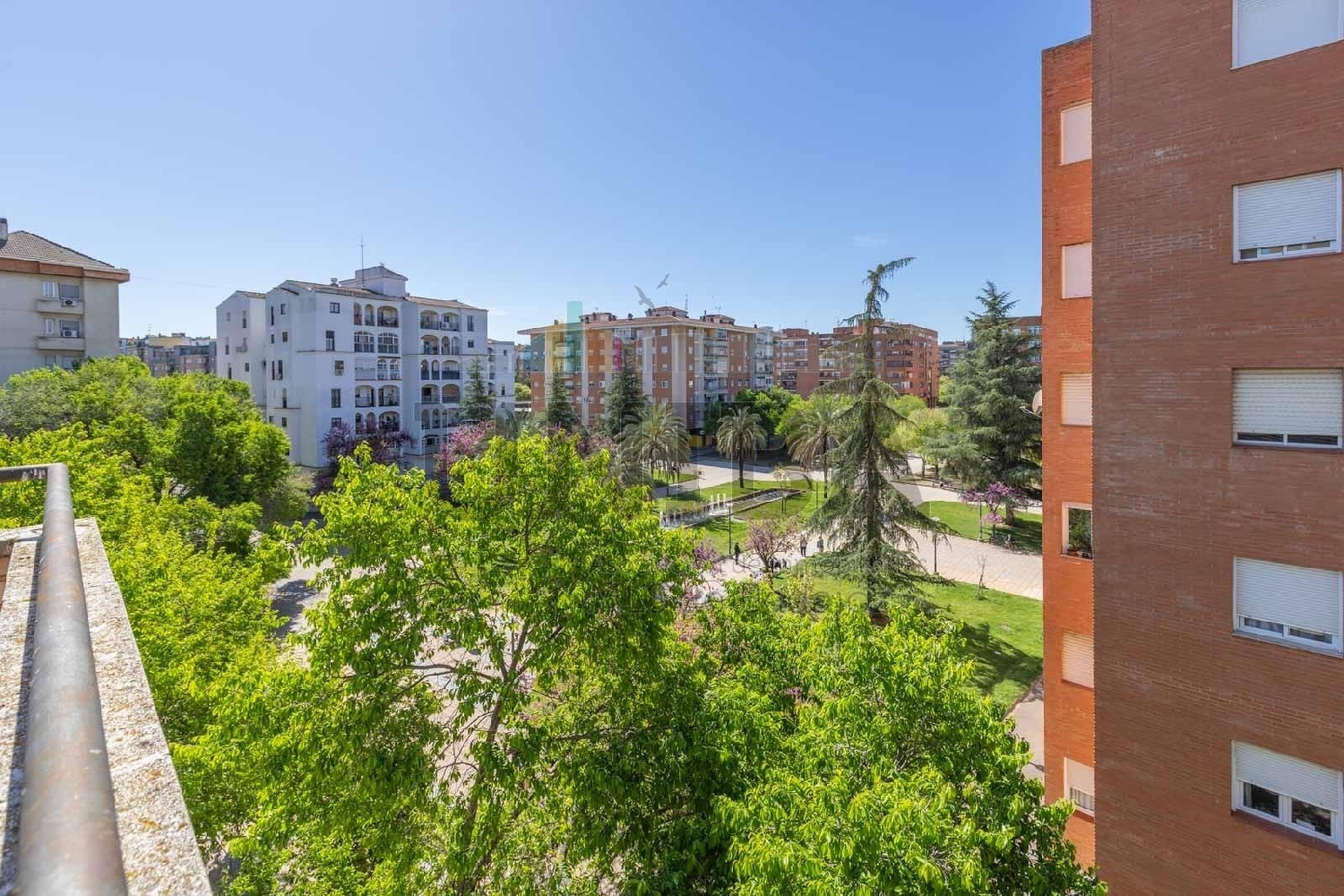  kaufen Wohnung Badajoz Casco Antiguo-Centro Badajoz 8