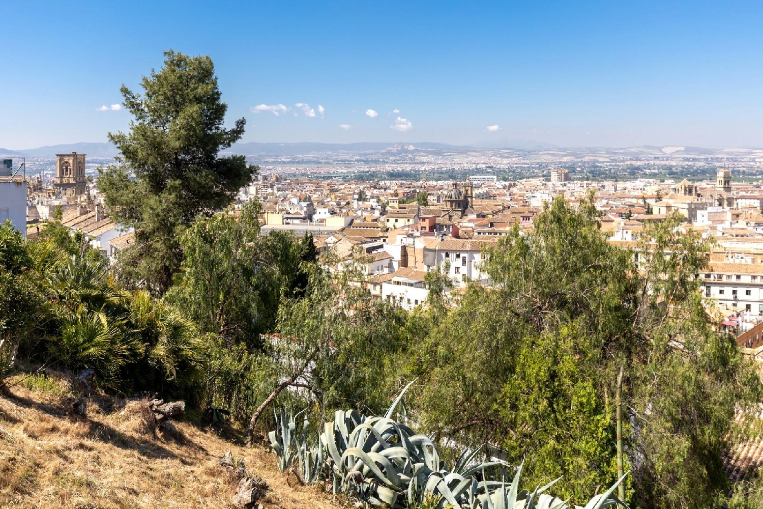  te koop appartement Barrio De Granada Alacantí 2